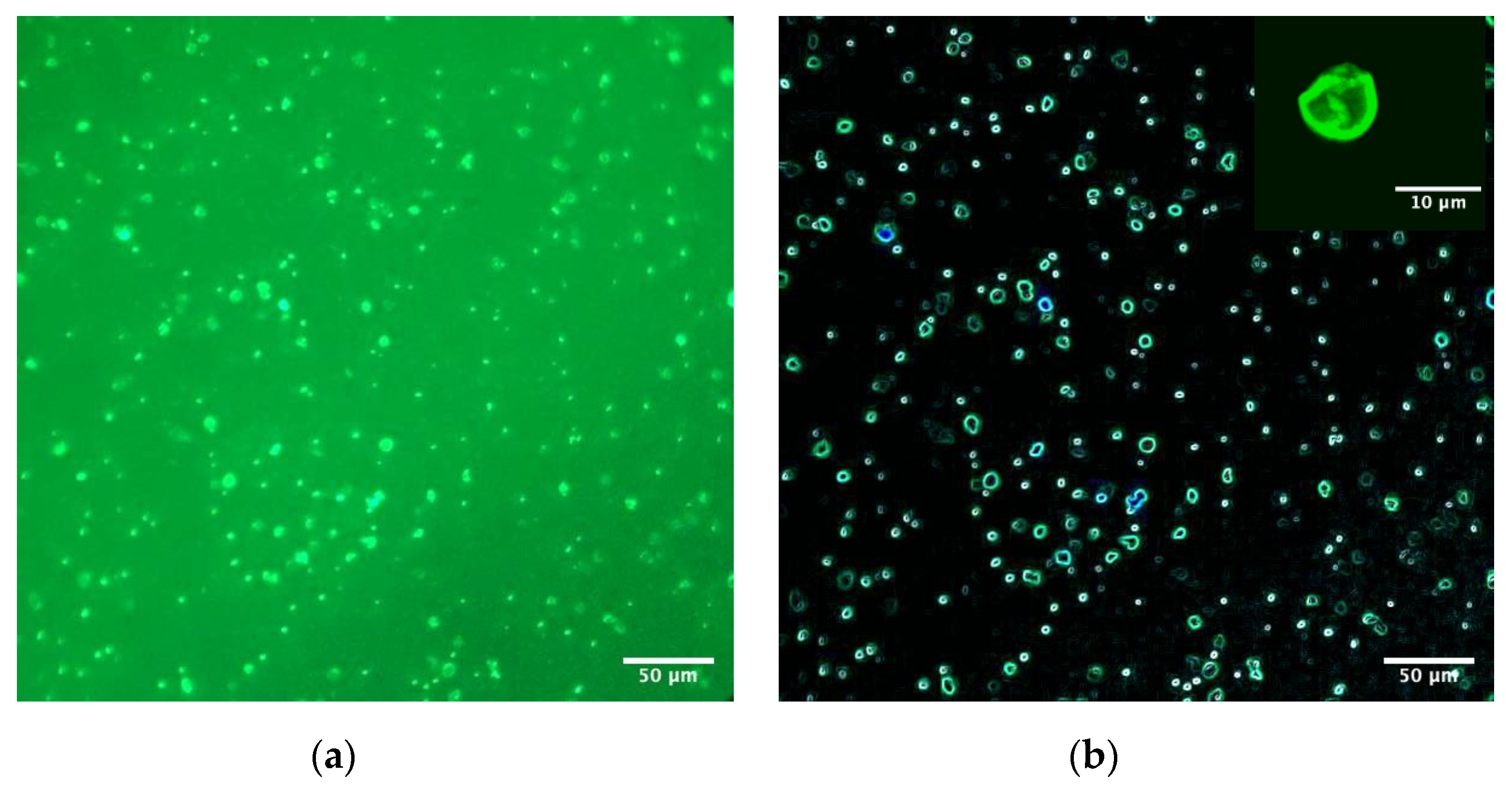 Materials 14 06390 g016