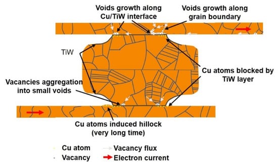 The formation of hillock with lateral grain growth: (a) vertical