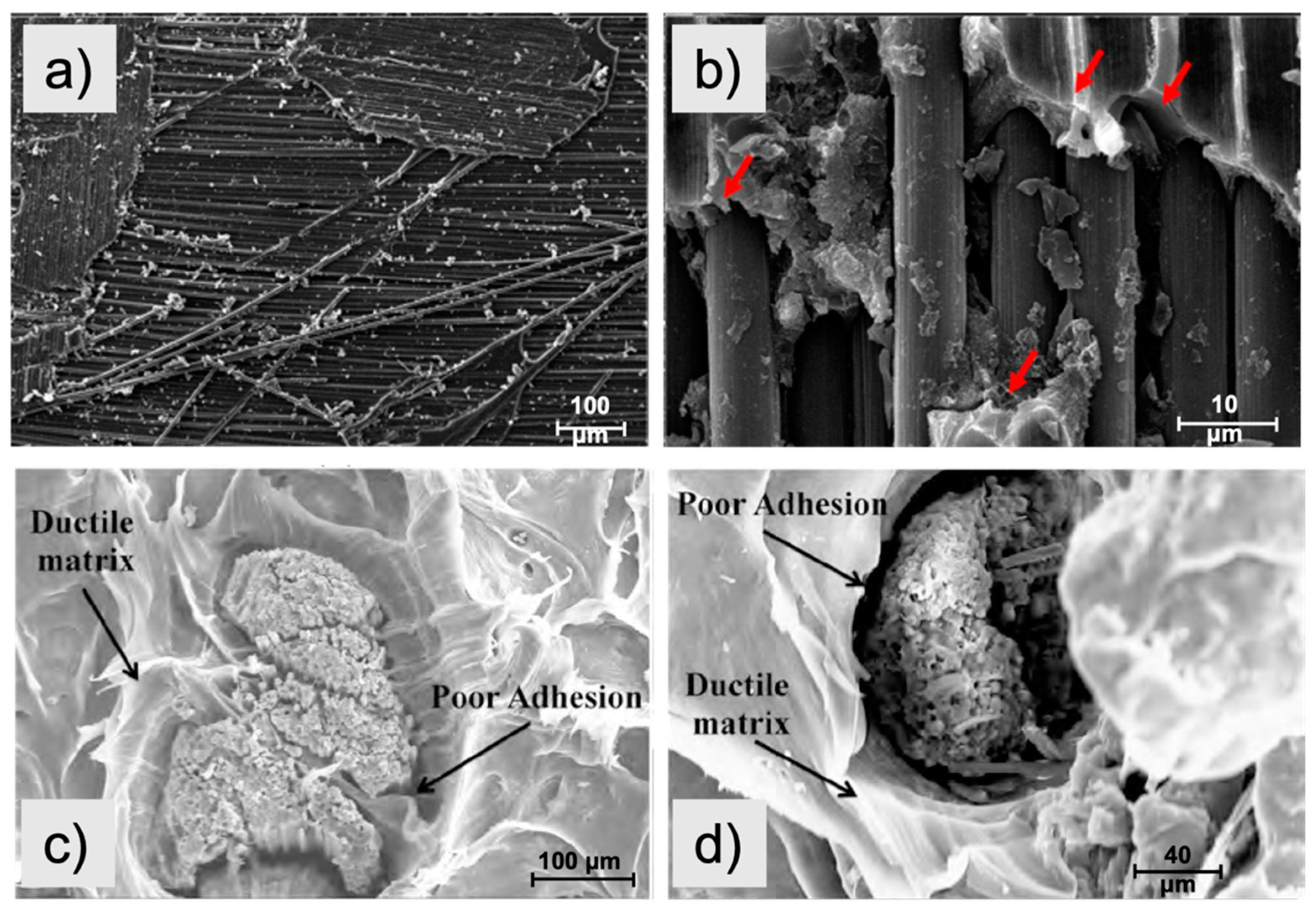 Materials 14 06401 g003