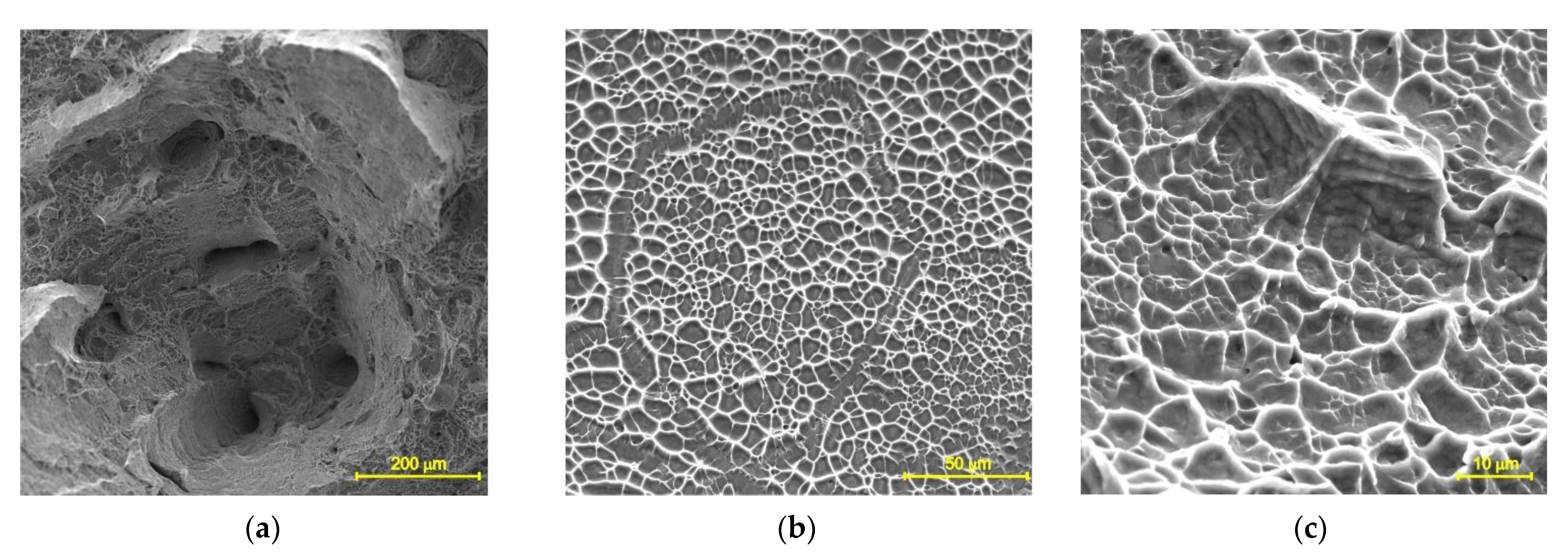 Materials 14 06432 g008