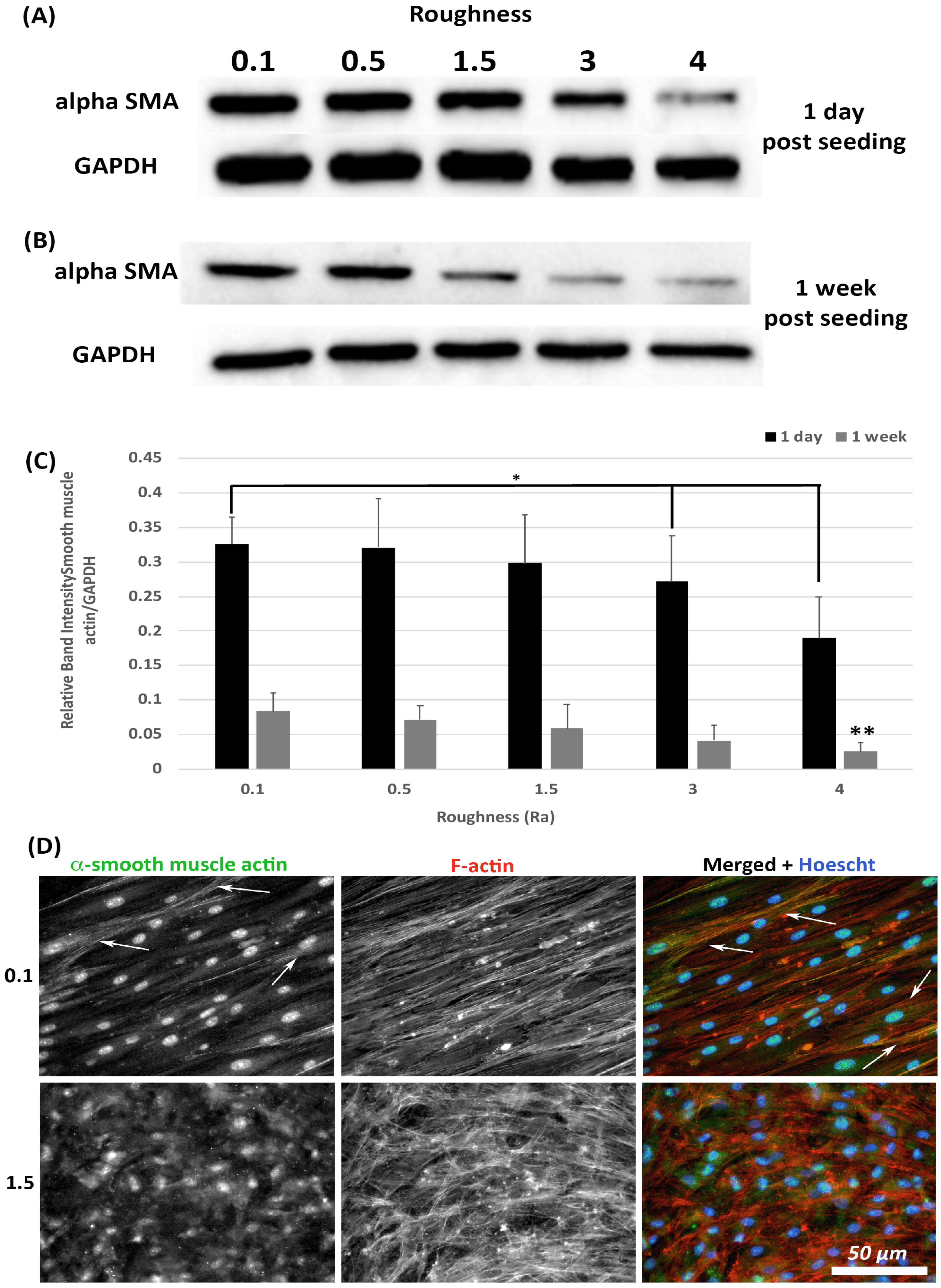Materials 14 06447 g005