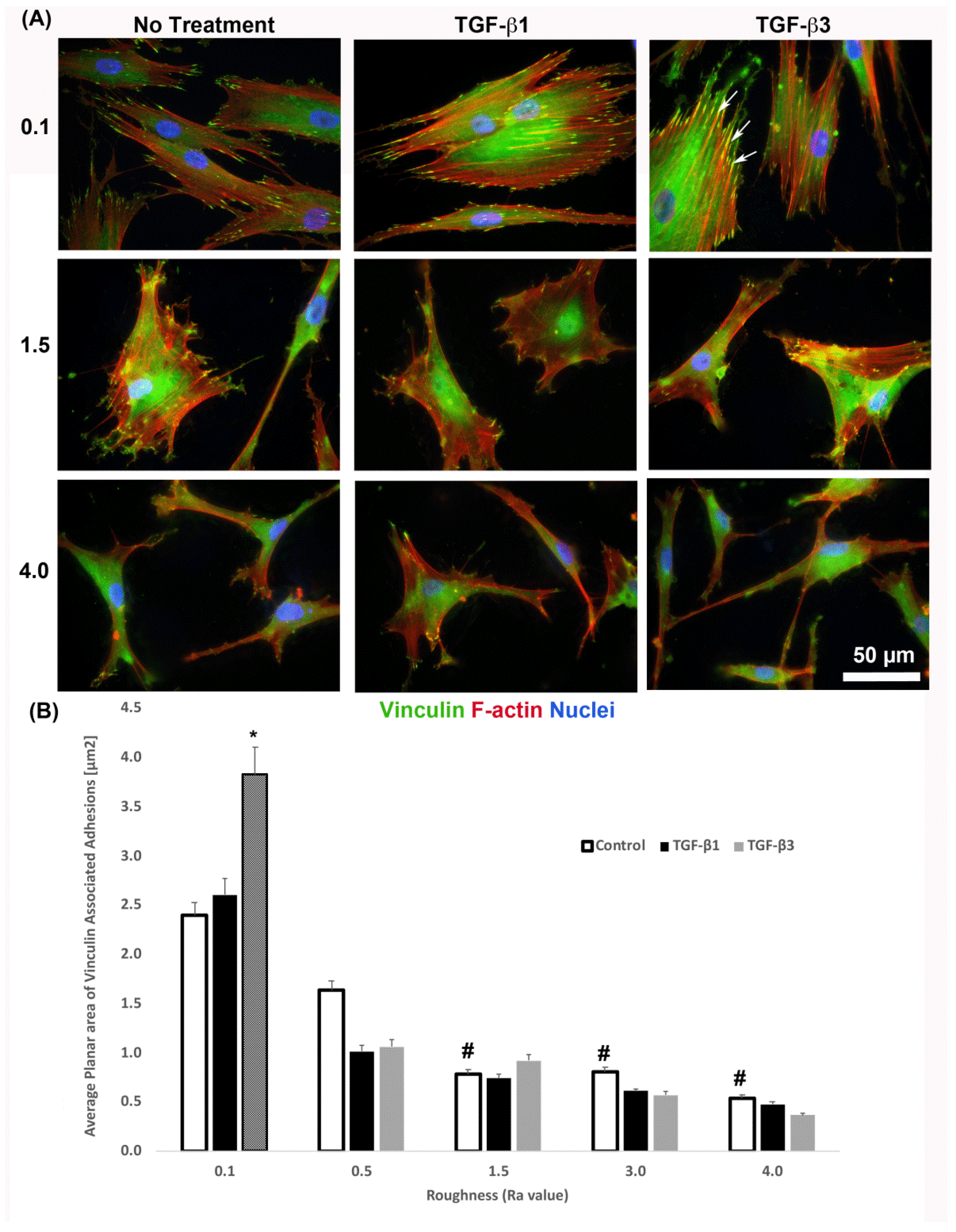 Materials 14 06447 g007