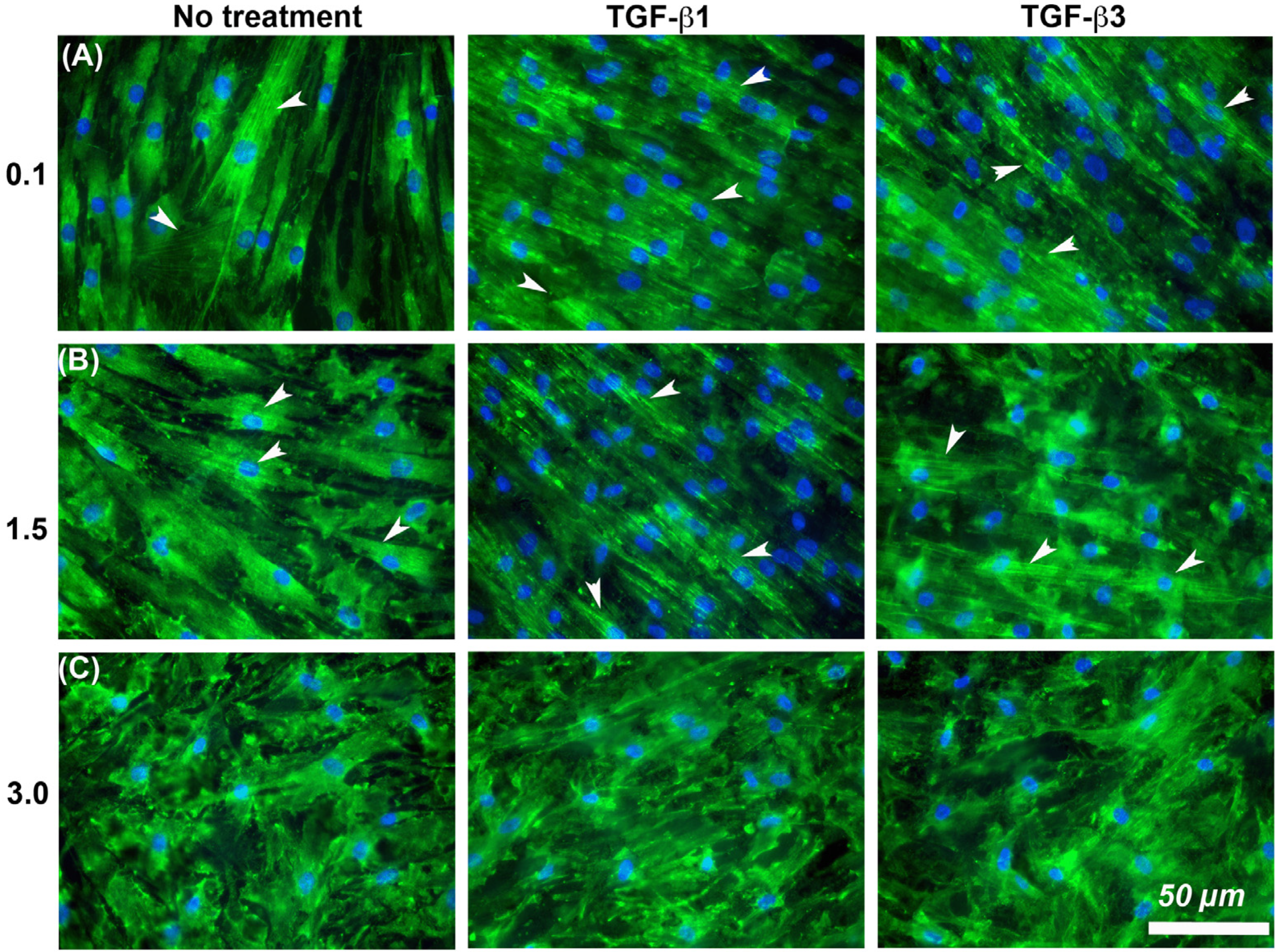 Materials 14 06447 g008