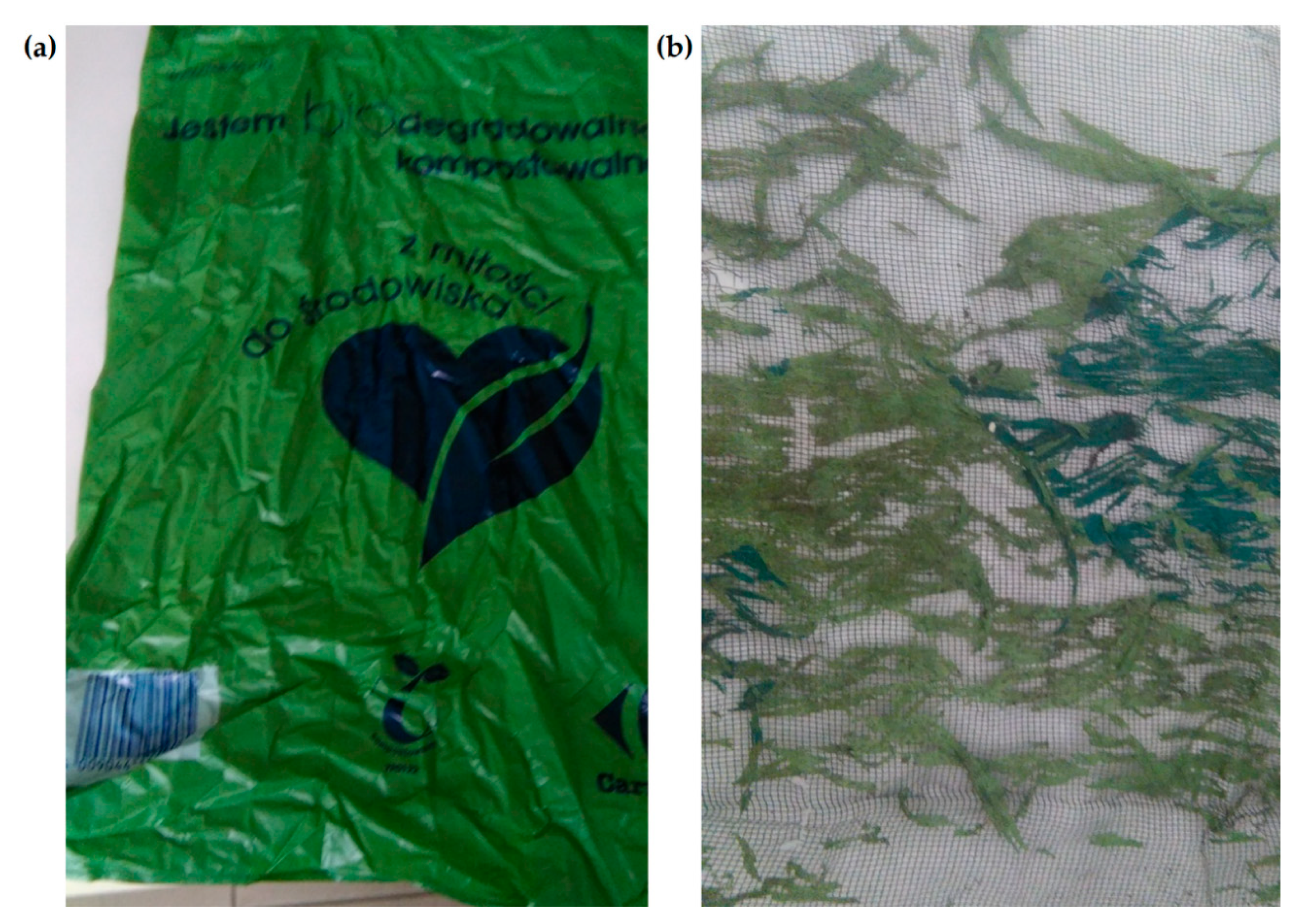 Materials 14 06449 g001