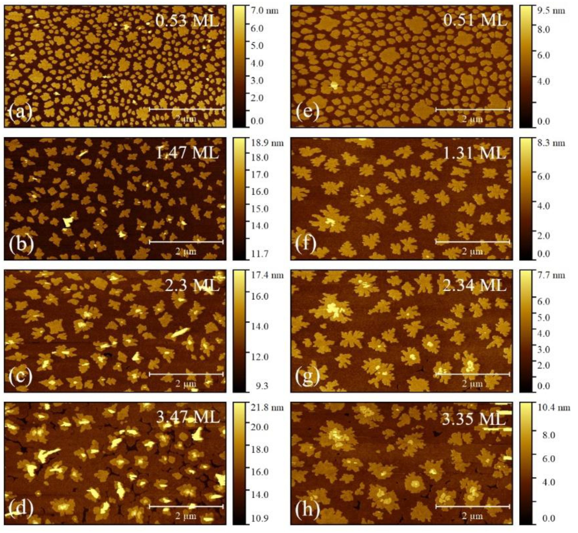 Materials 14 06529 g003