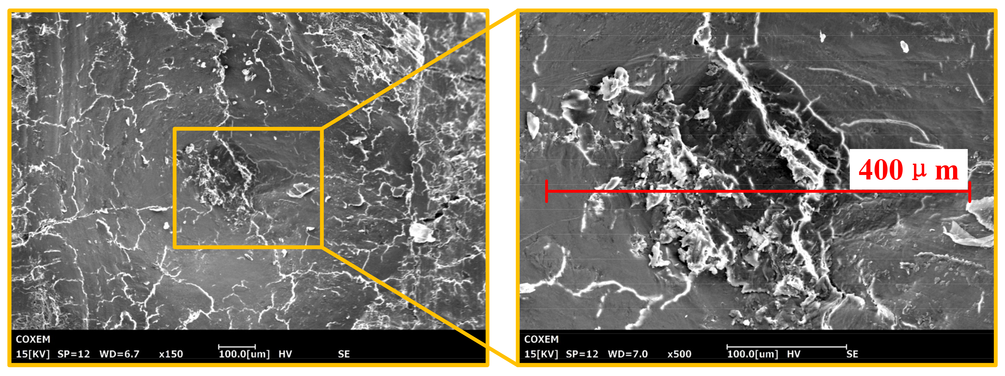 Materials 14 06530 g004