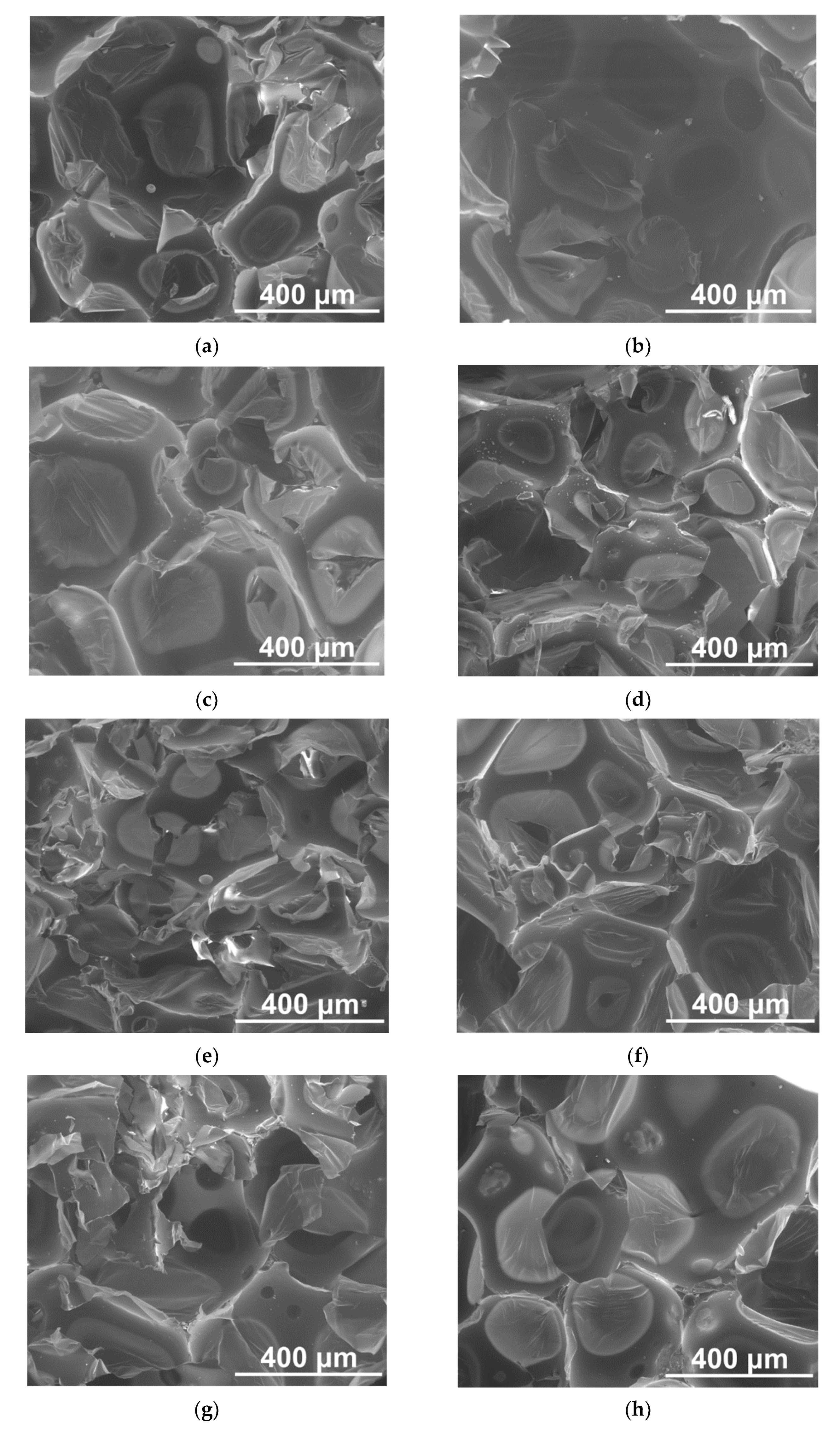 Materials 14 06604 g004