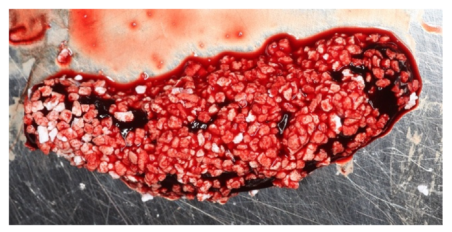 Materials 14 06642 g007