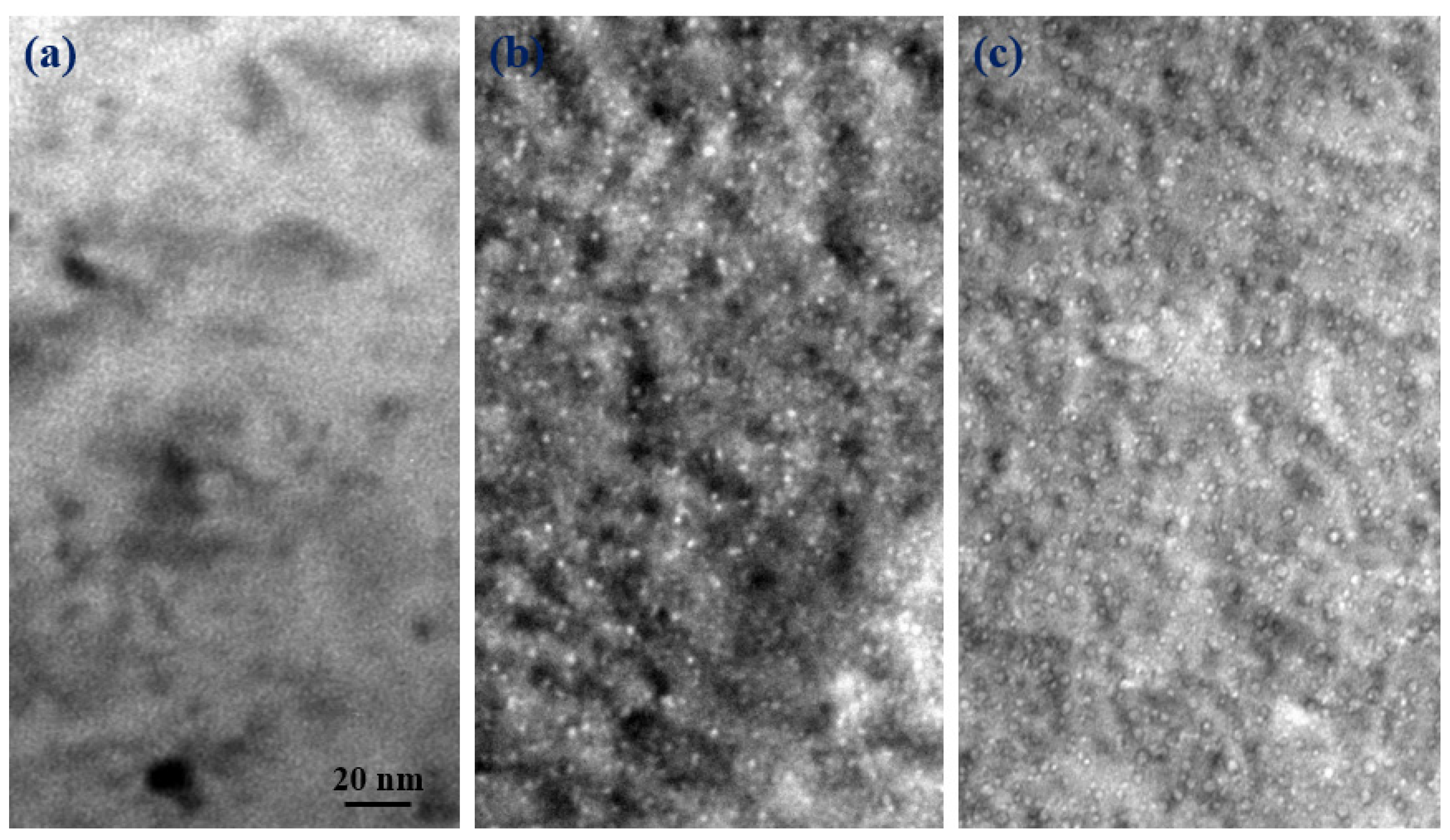 Materials 14 06669 g006