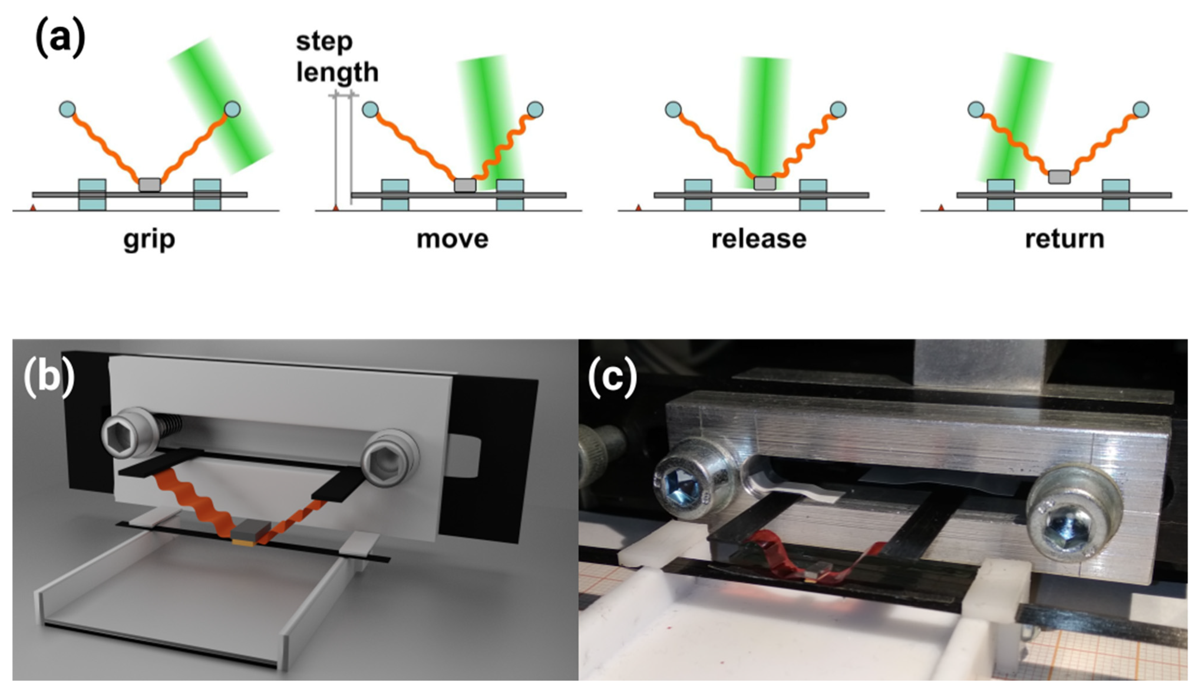 Materials 14 06688 g002