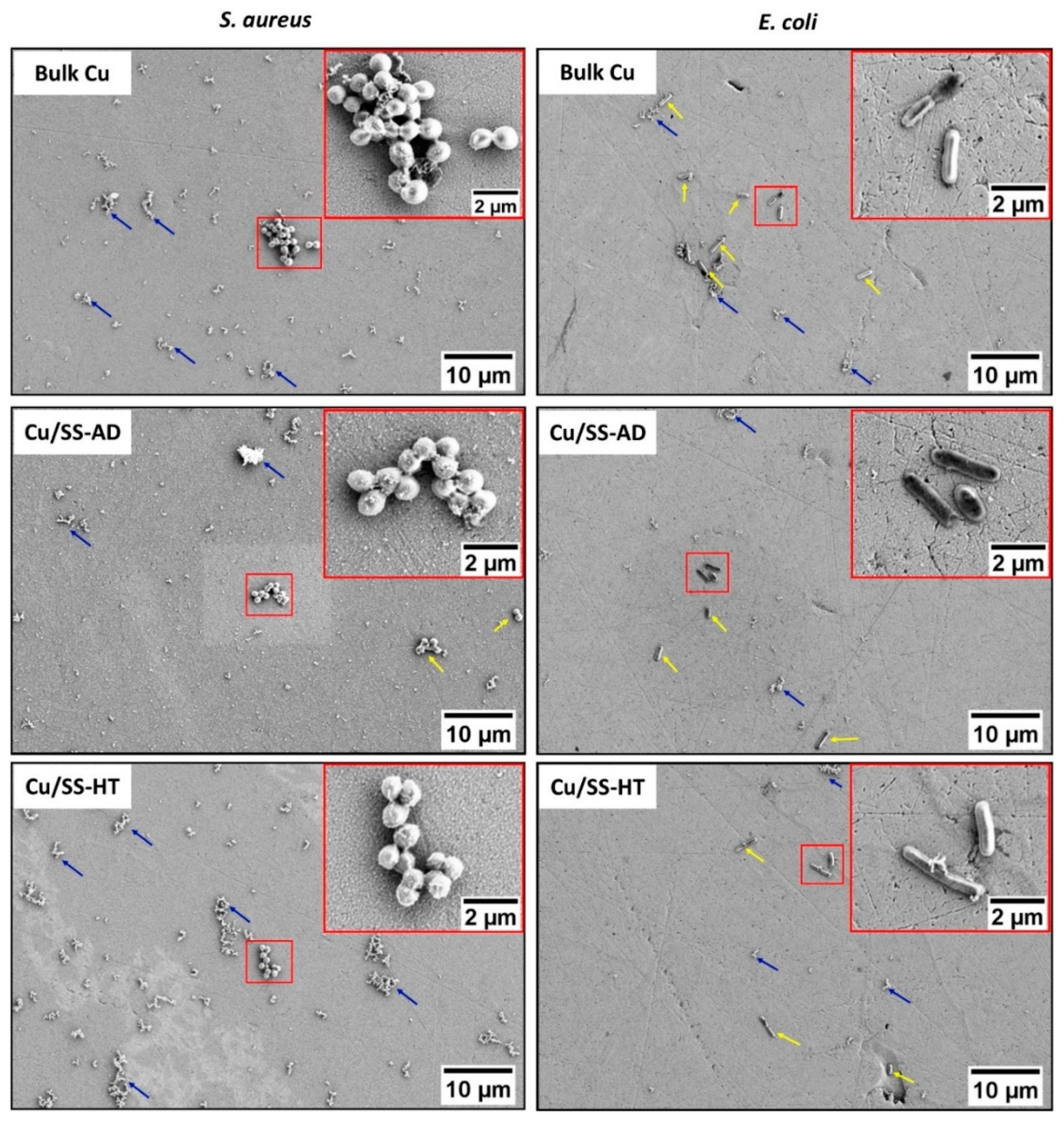 Materials 14 06744 g005