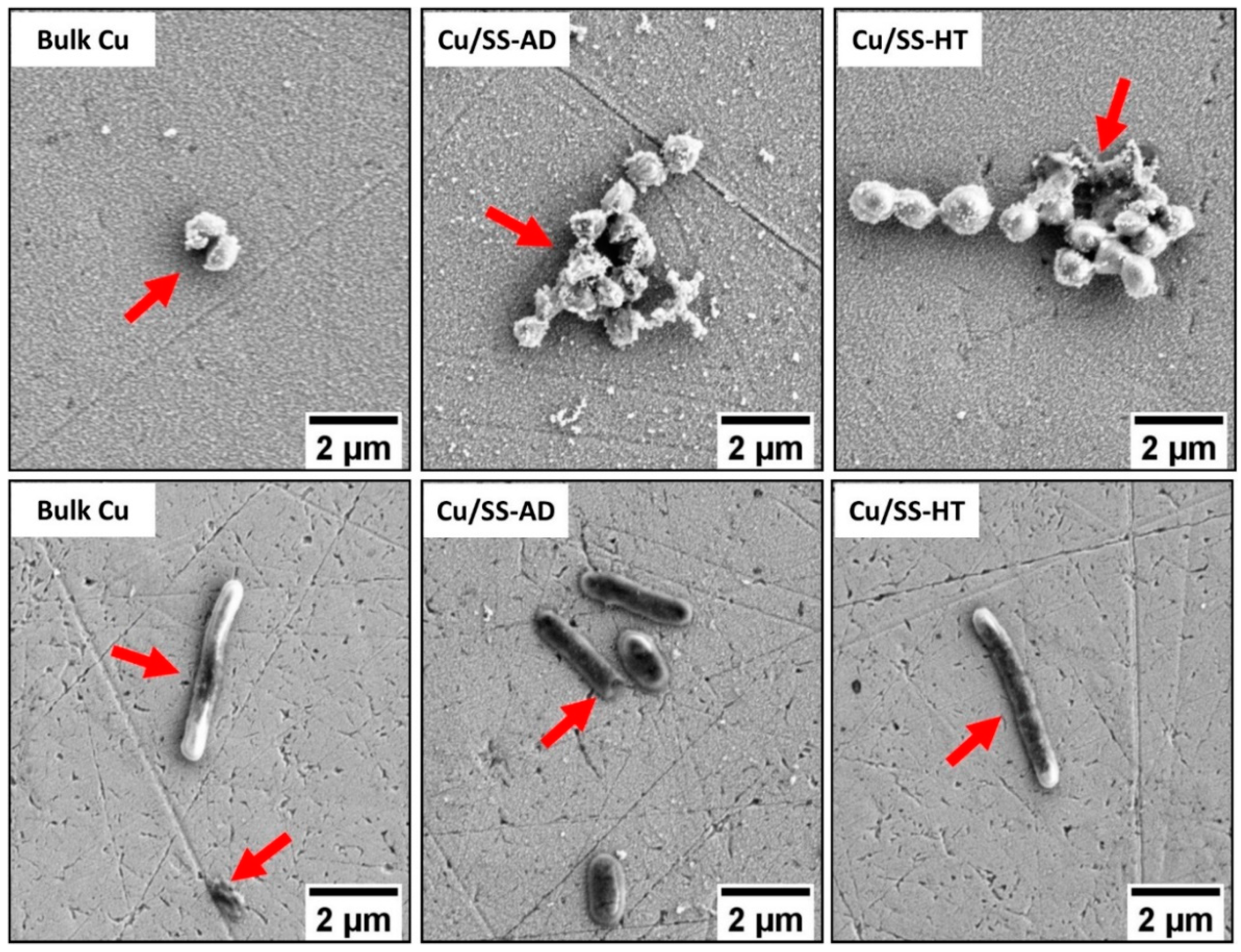 Materials 14 06744 g006