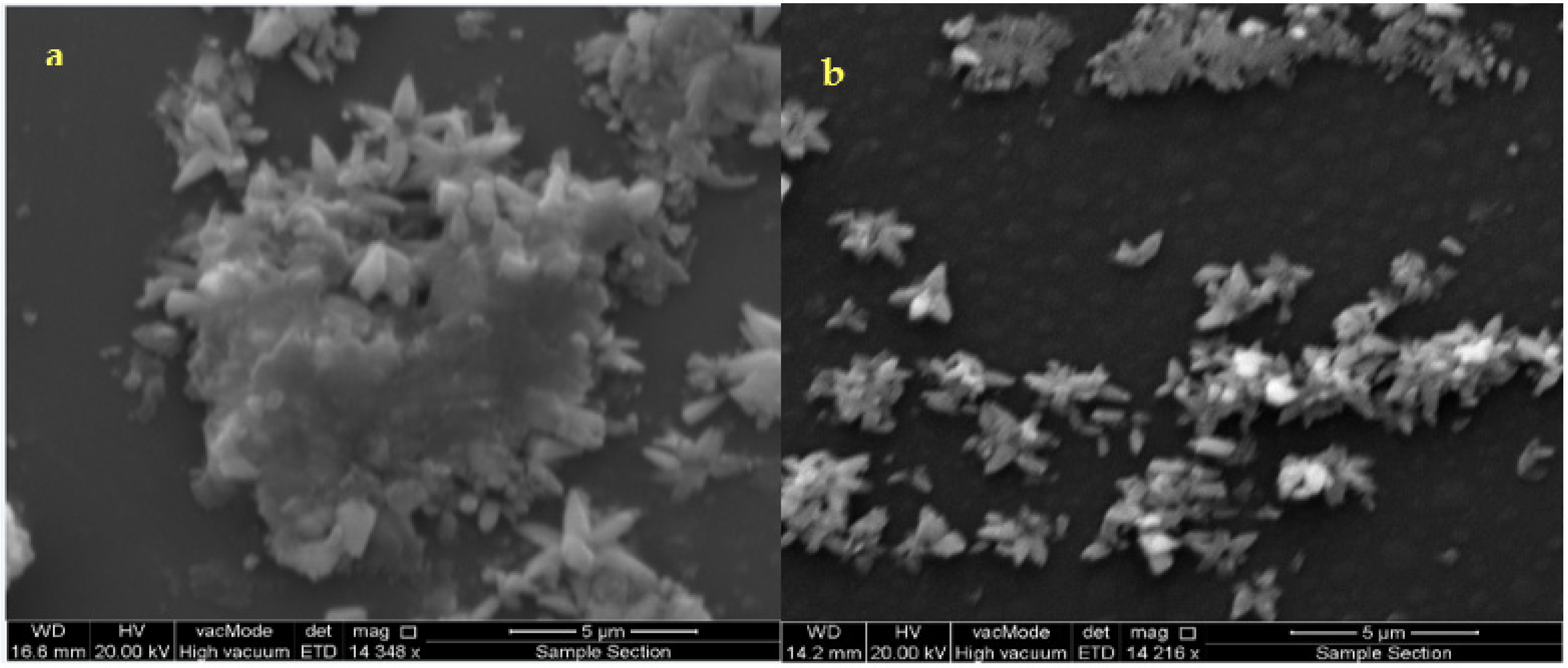 Materials 14 06748 g003