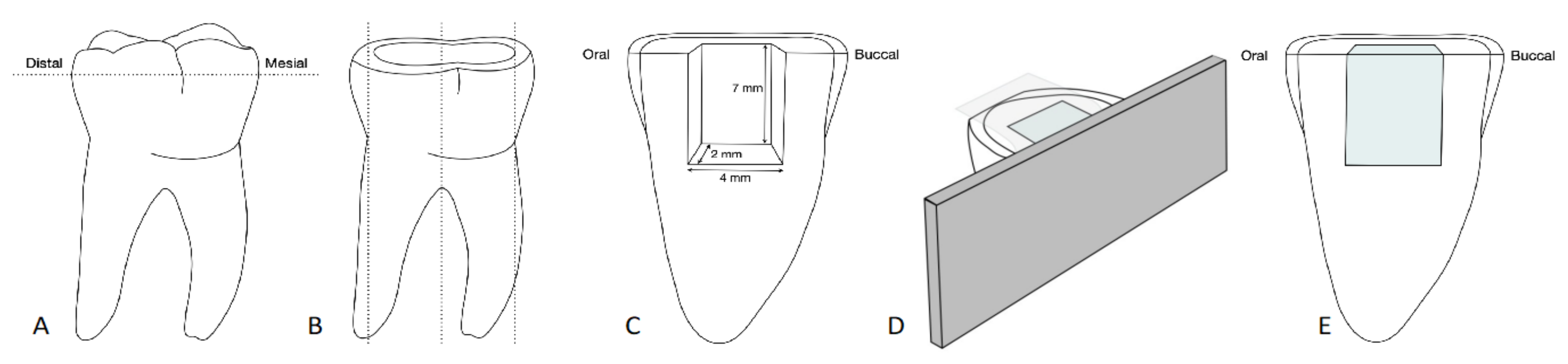 Materials 14 06753 g001