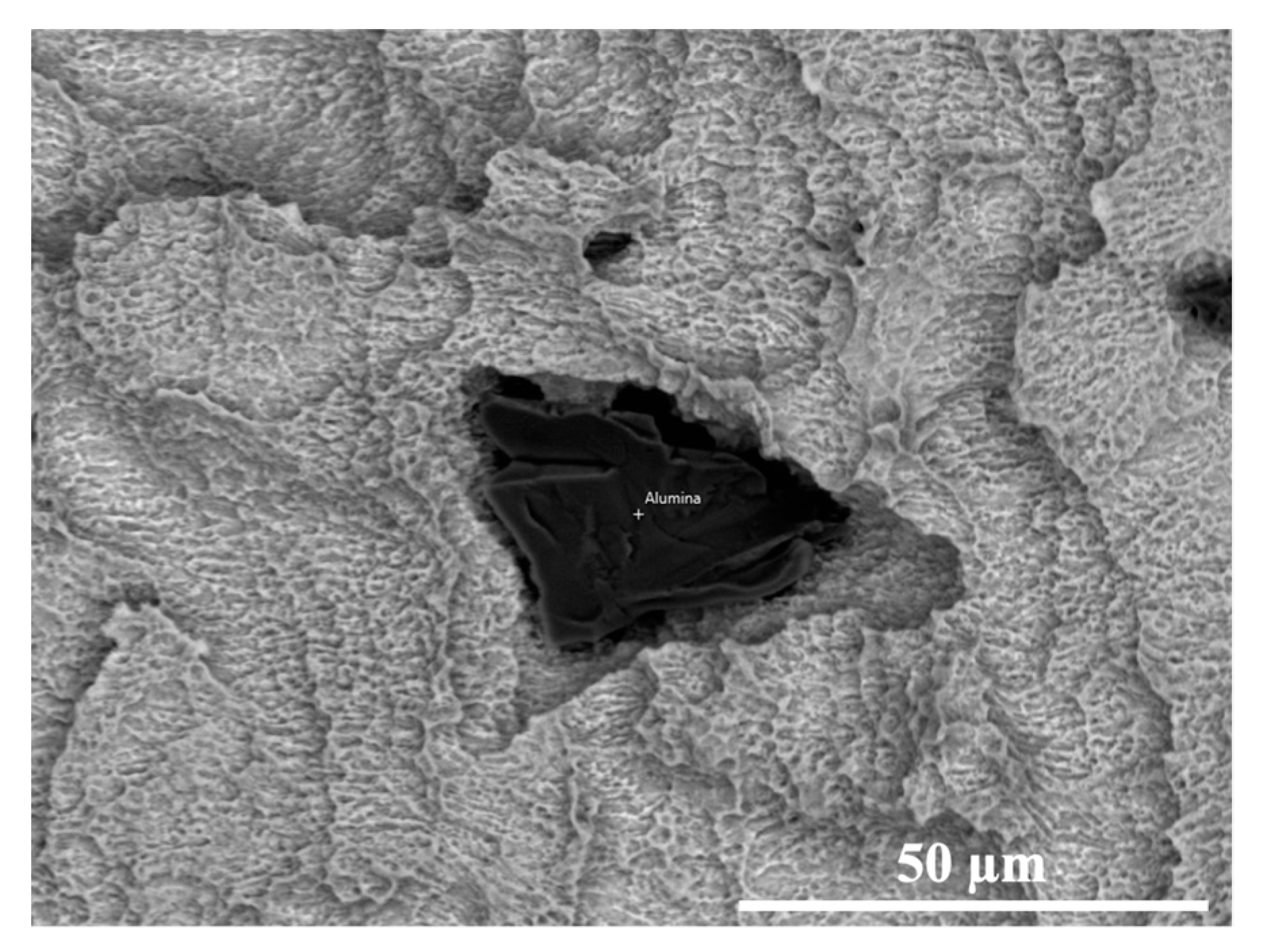 Materials 14 06800 g008 Materials 14 06800 g008