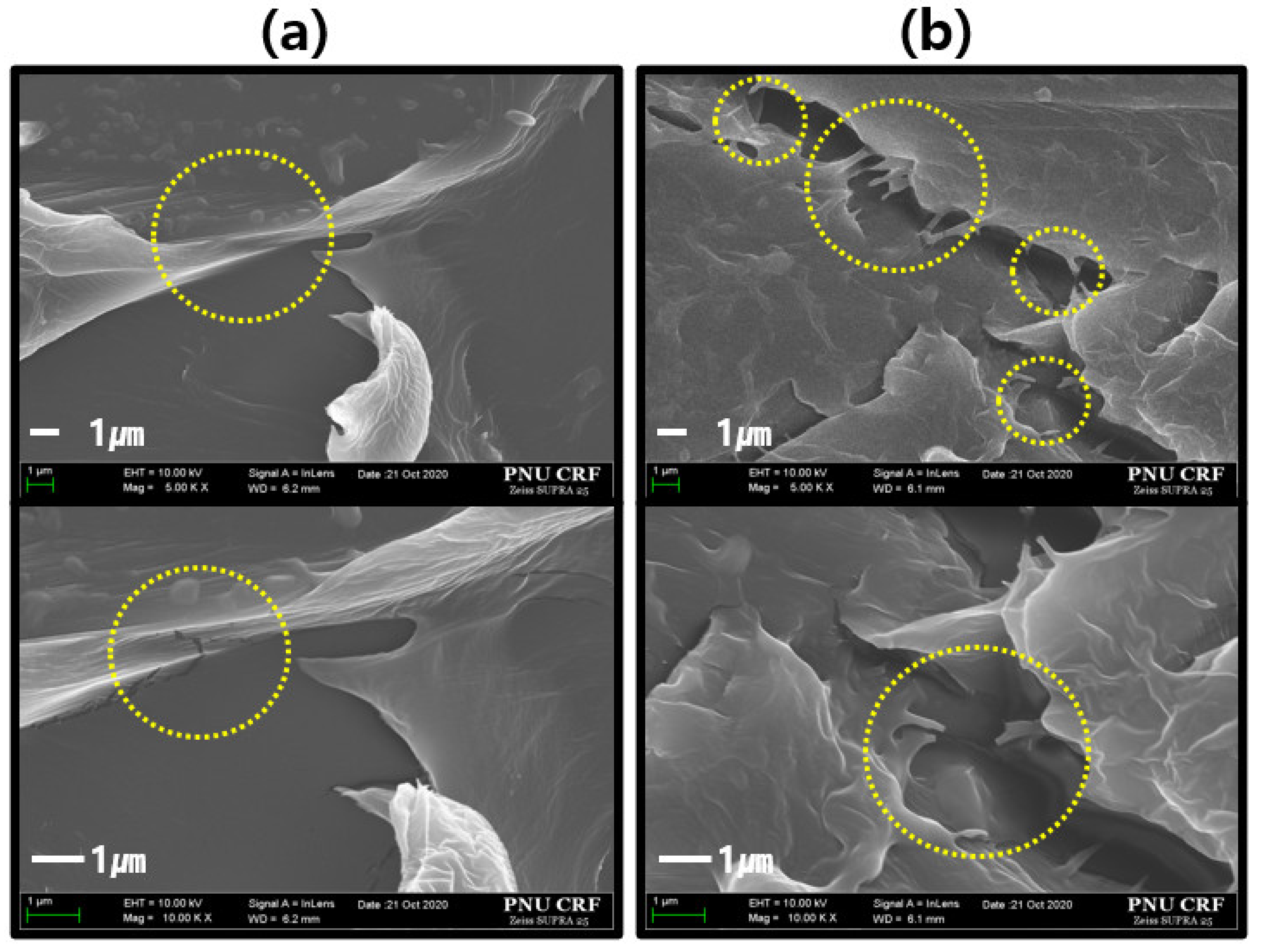 Materials 14 06829 g004