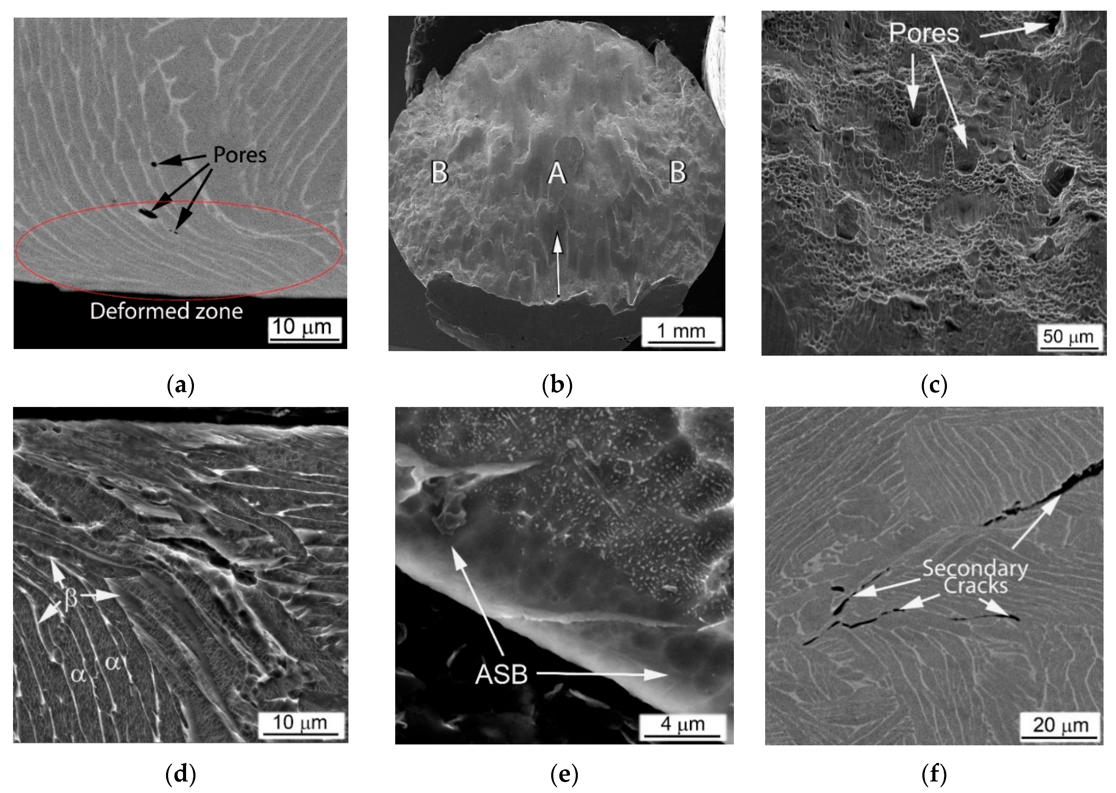 Materials 14 06837 g009