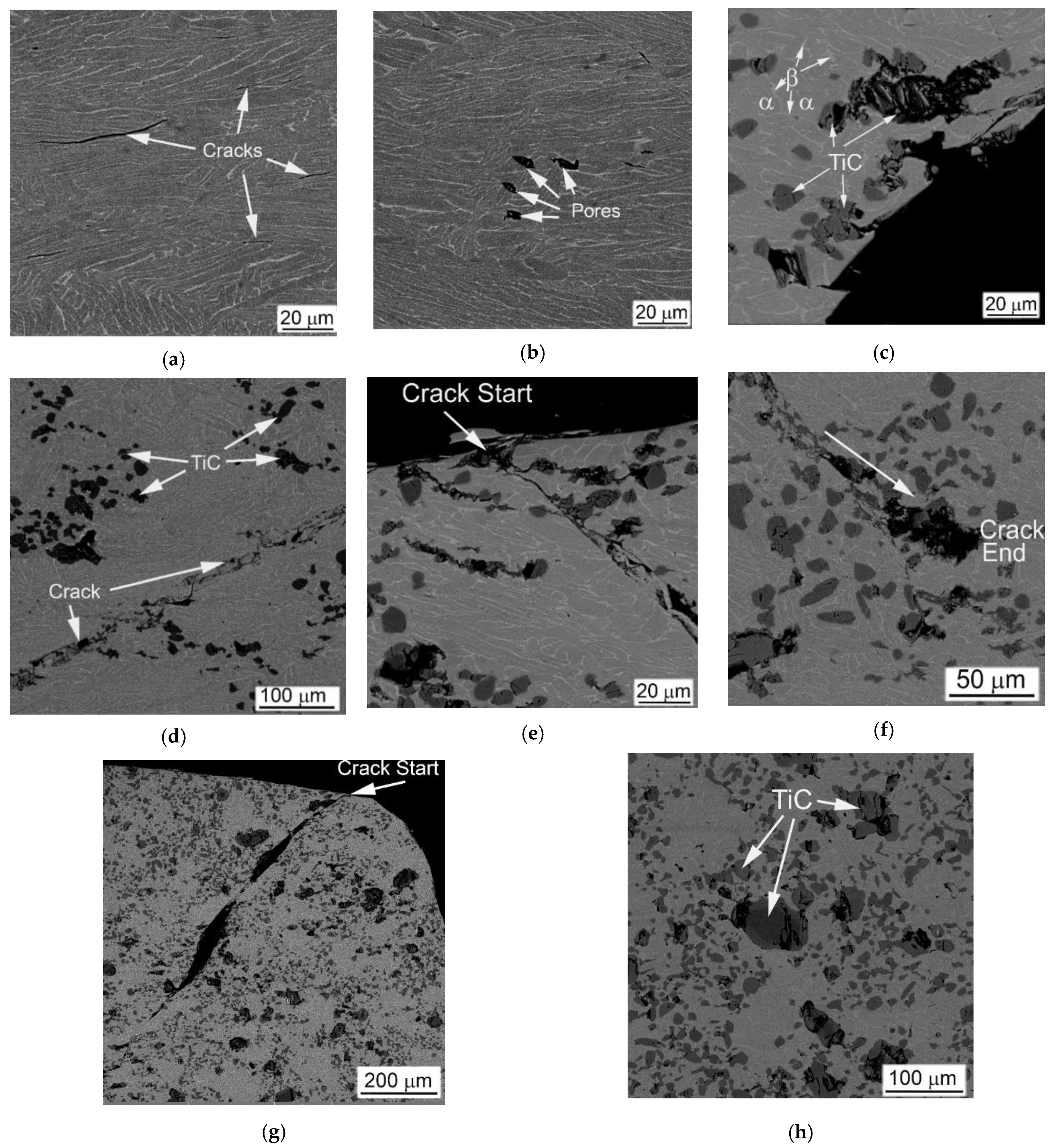 Materials 14 06837 g014