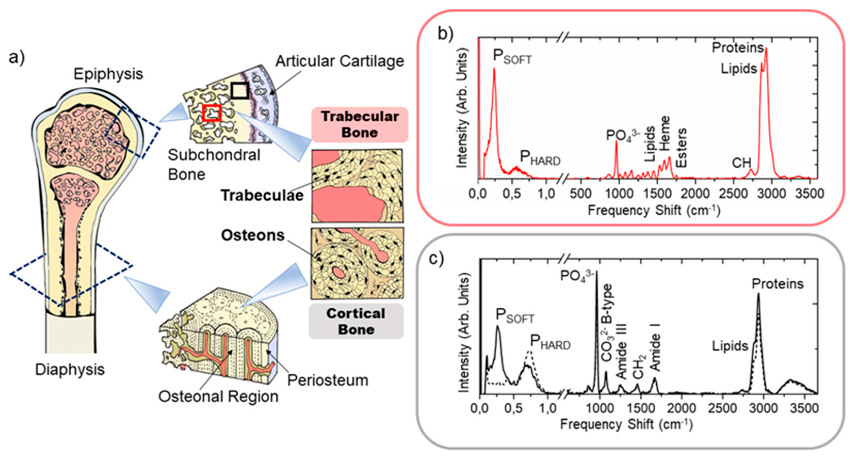 Materials 14 06869 g001