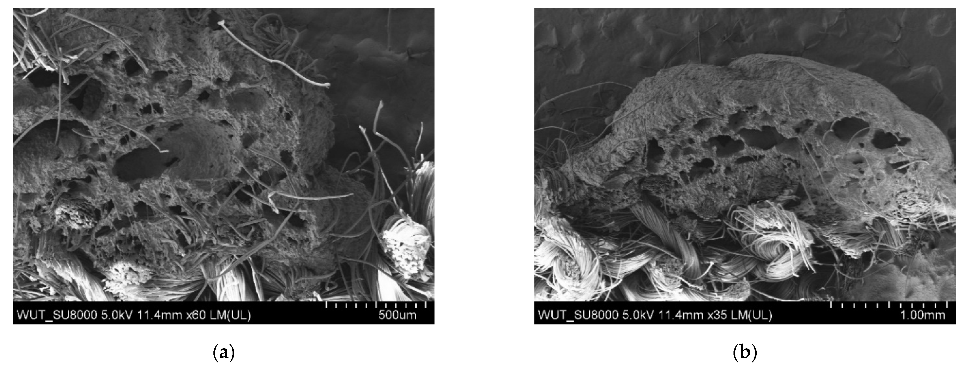 Materials 14 06876 g003