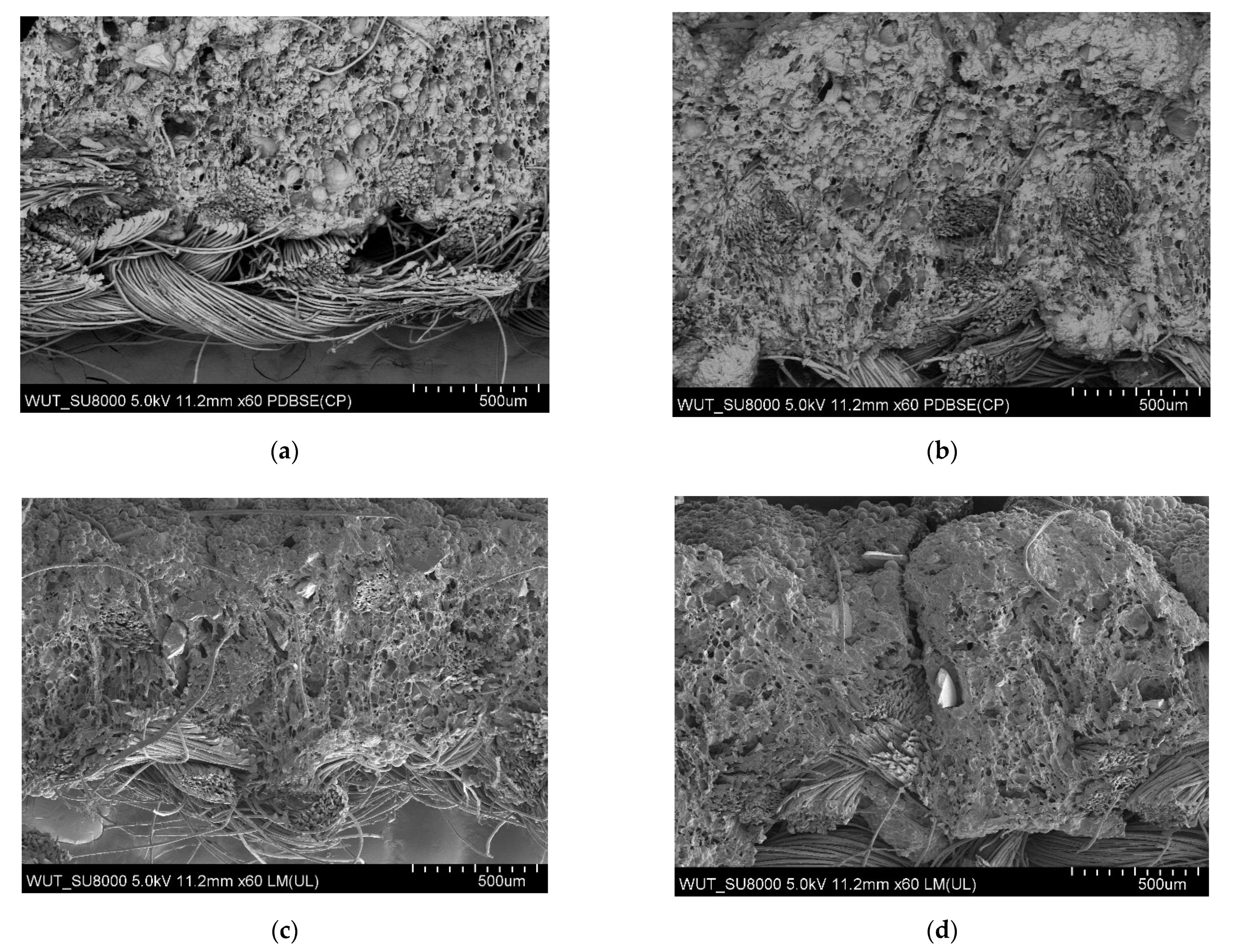 Materials 14 06876 g004