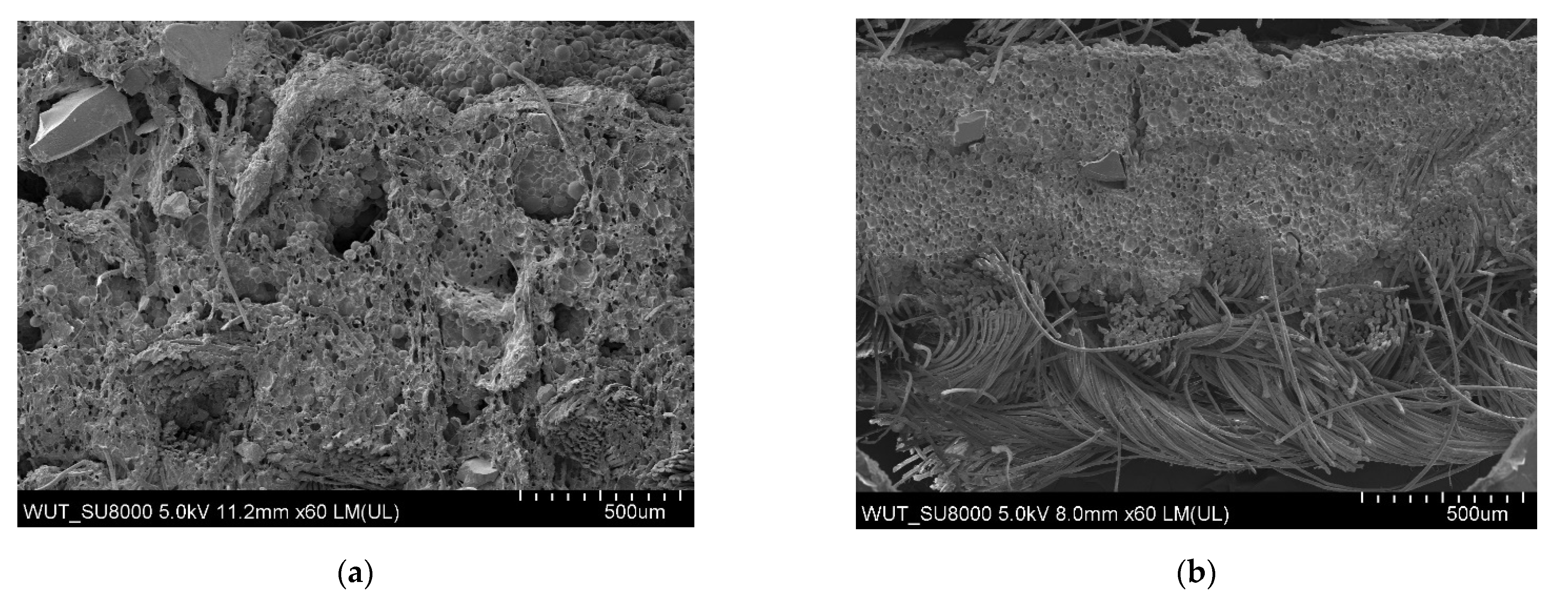 Materials 14 06876 g005a