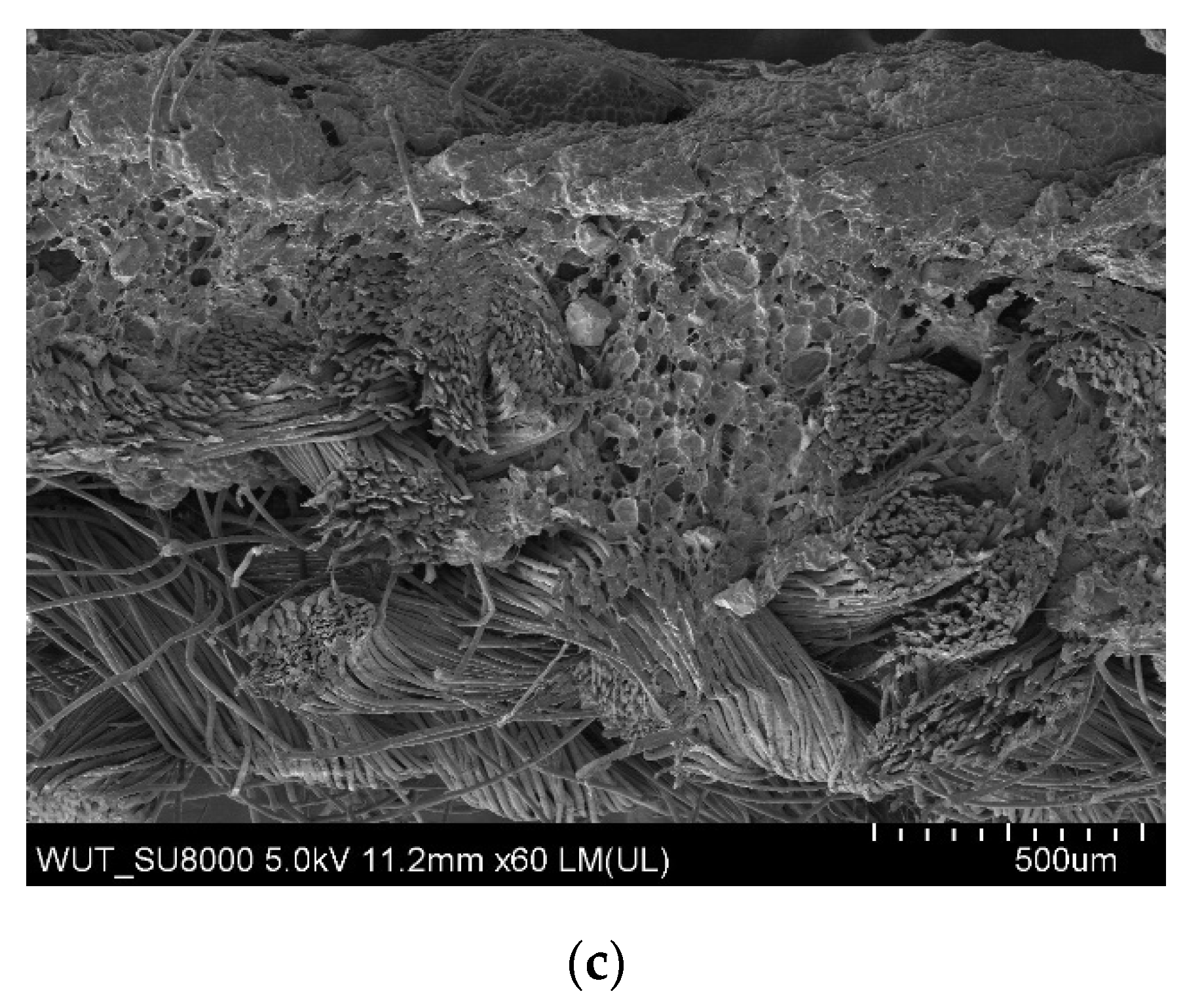 Materials 14 06876 g005b