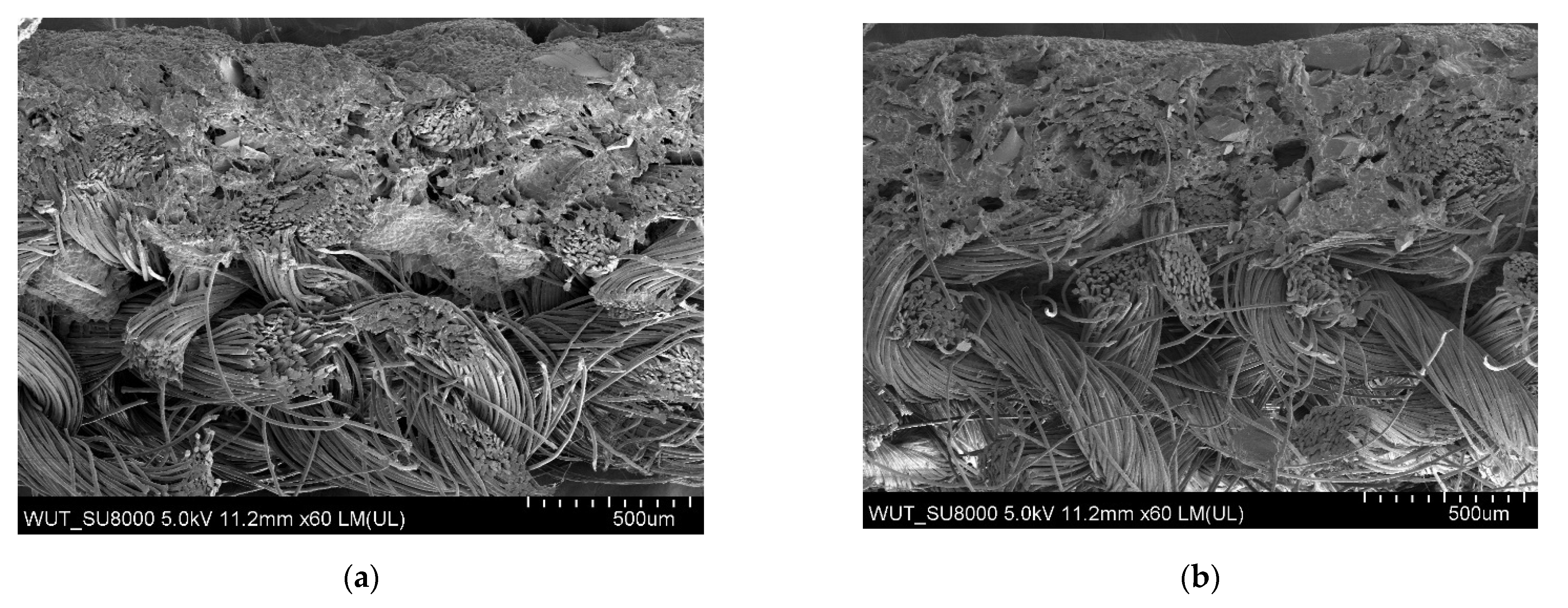 Materials 14 06876 g006