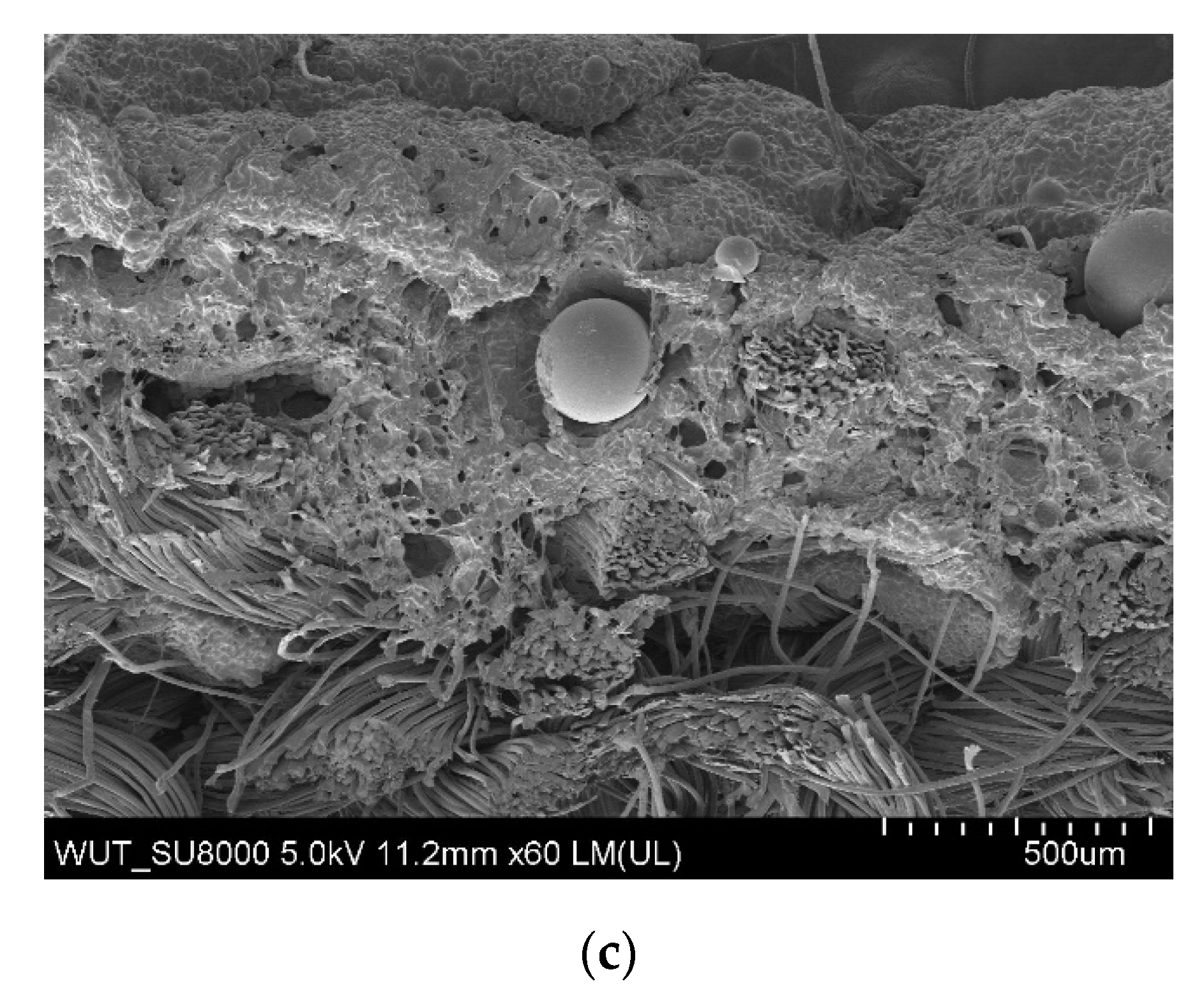 Materials 14 06876 g007b