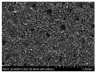 Materials 14 06876 i004