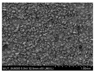 Materials 14 06876 i007