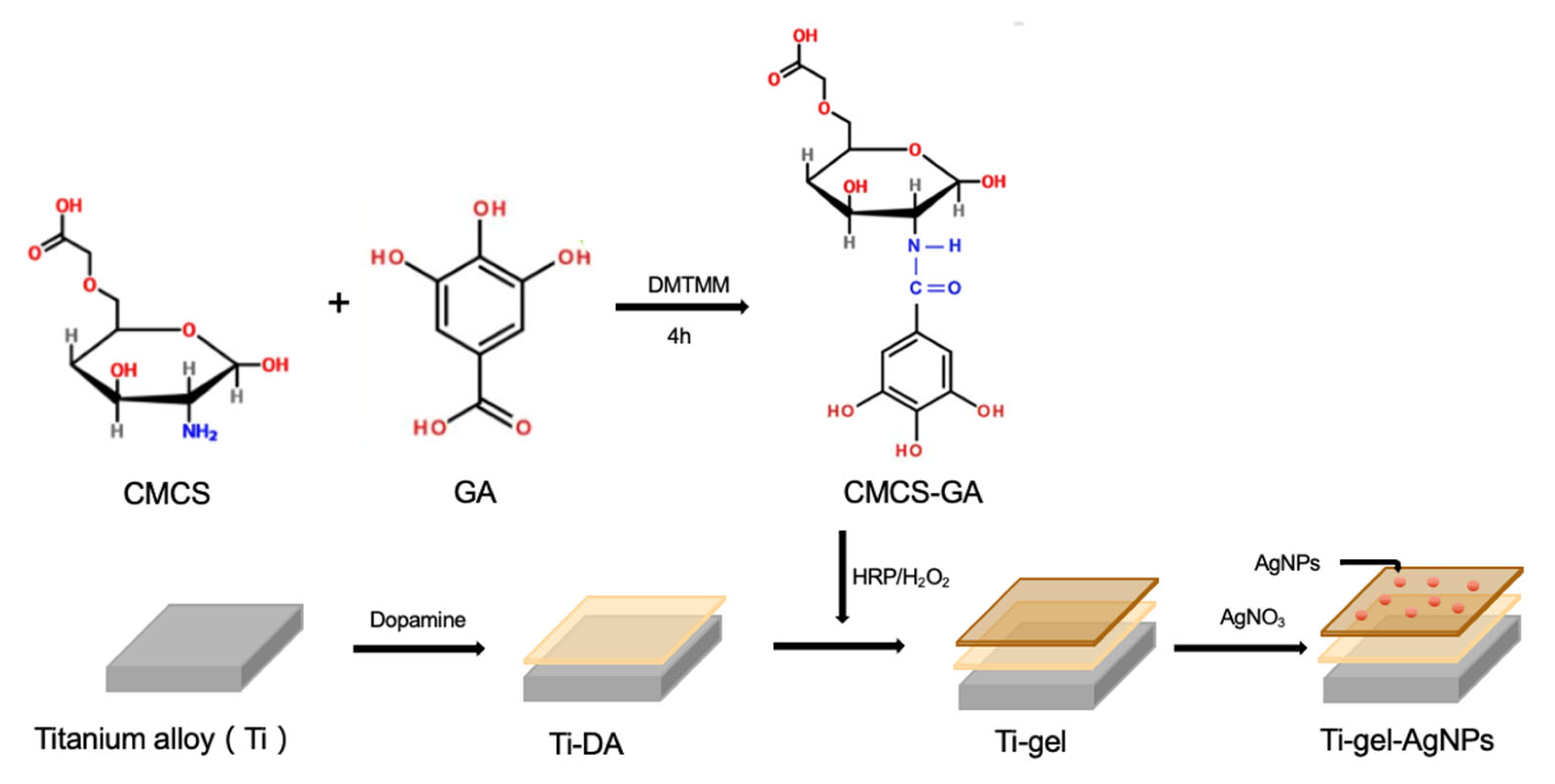 Materials | Free Full-Text | Mussel-Inspired Carboxymethyl Chitosan ...