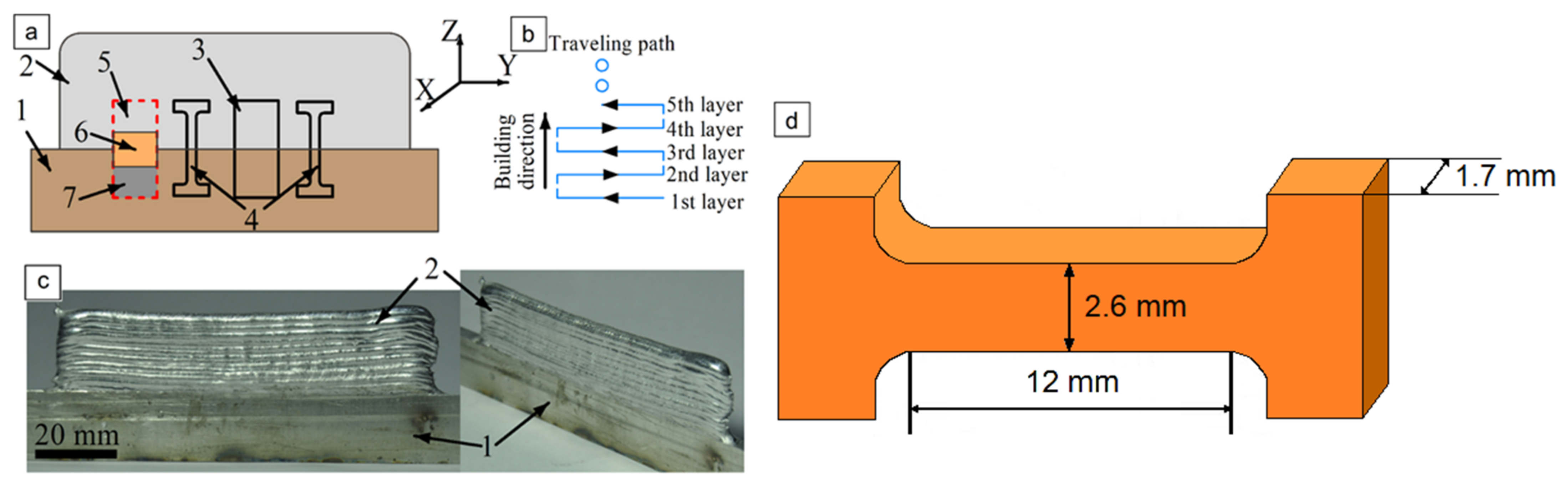 Potentiodynamic polarization curves of AA7075 at high scan rates