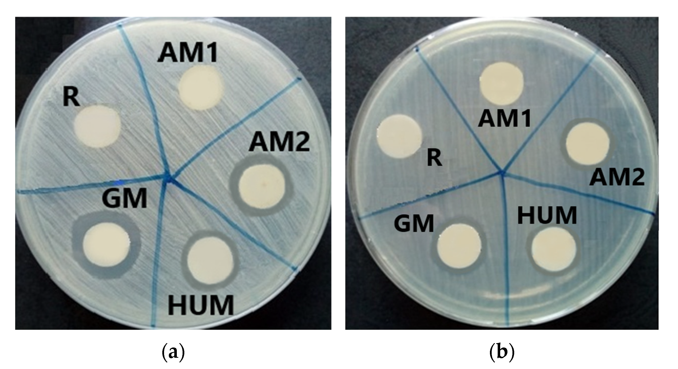 Materials 14 07031 g008