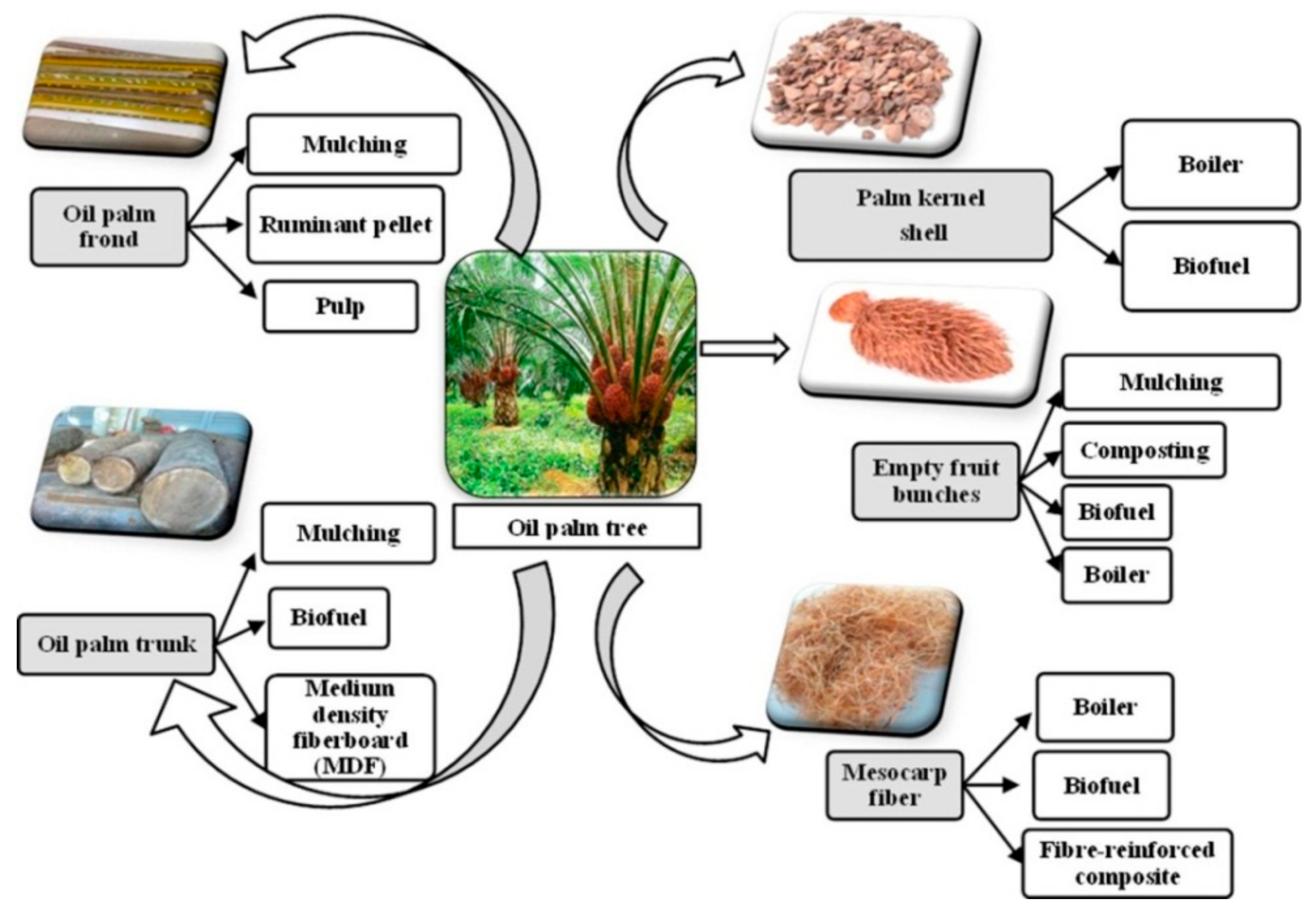 Materials 14 07074 g001