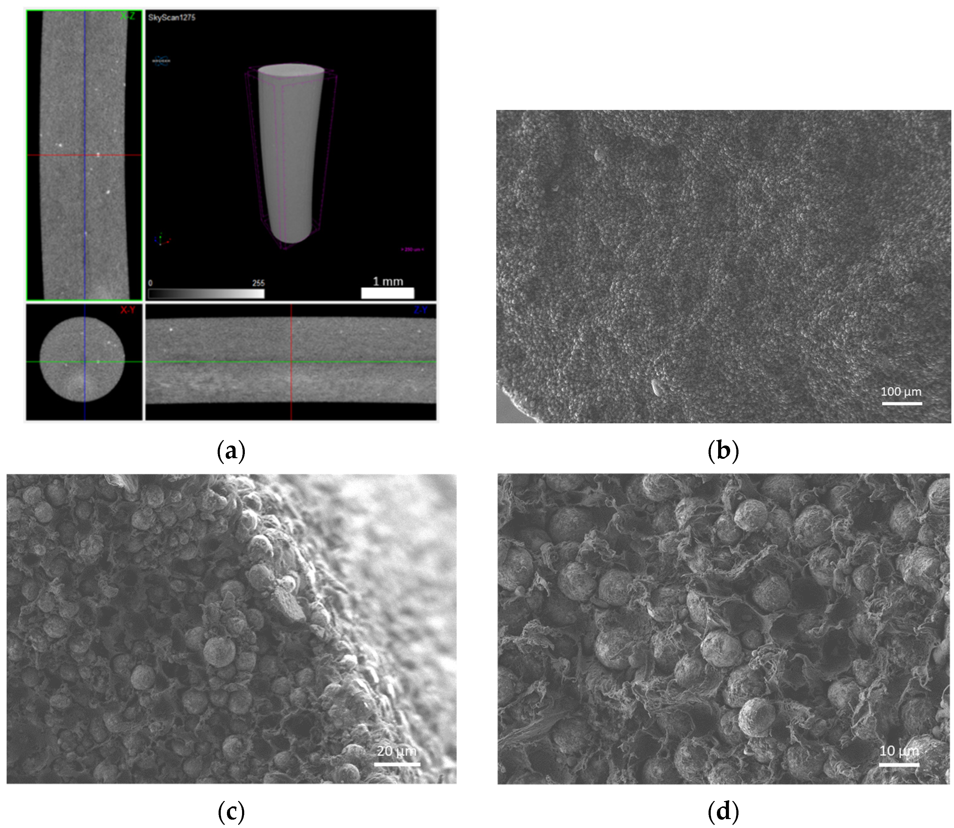 Materials 14 07136 g009