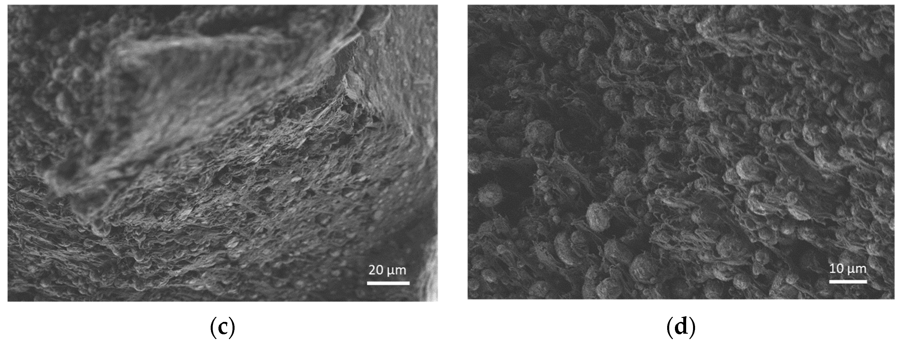 Materials 14 07136 g010b