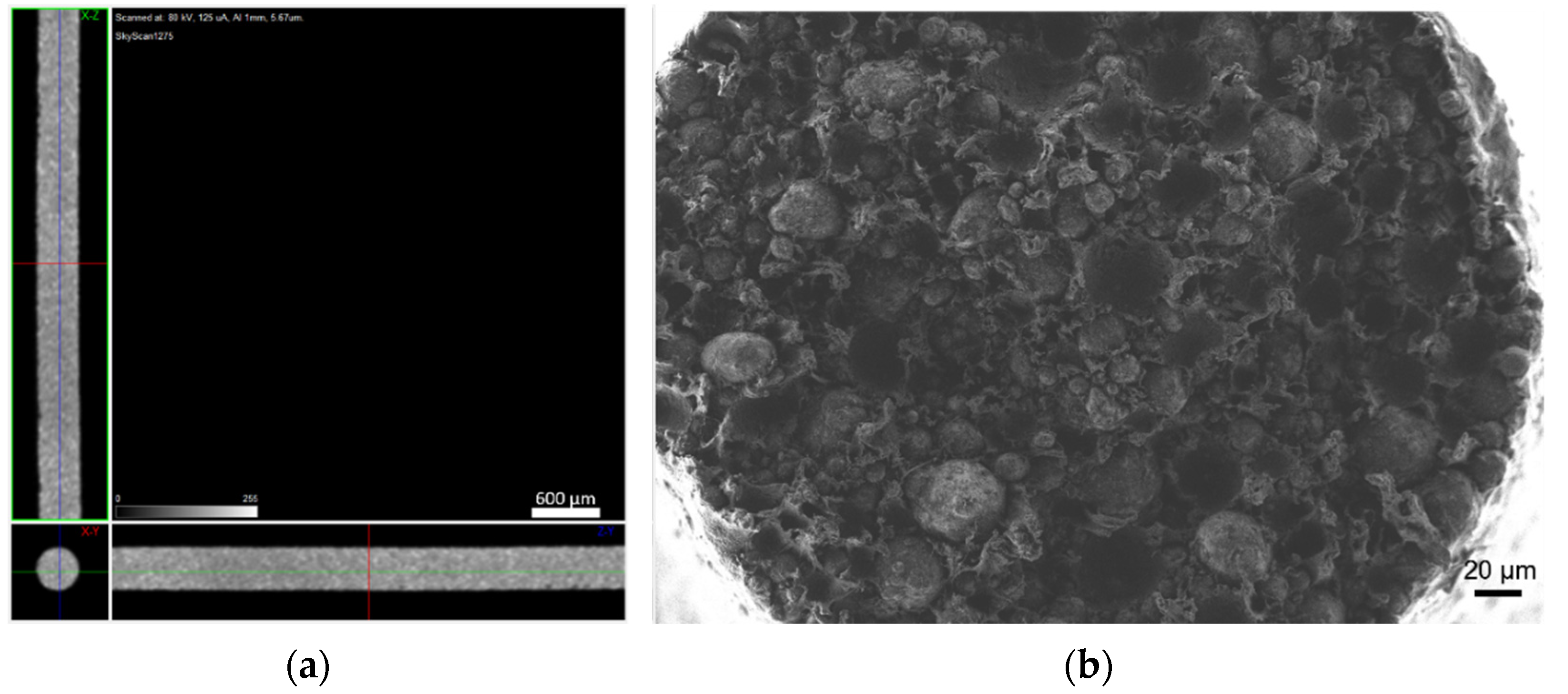 Materials 14 07136 g013