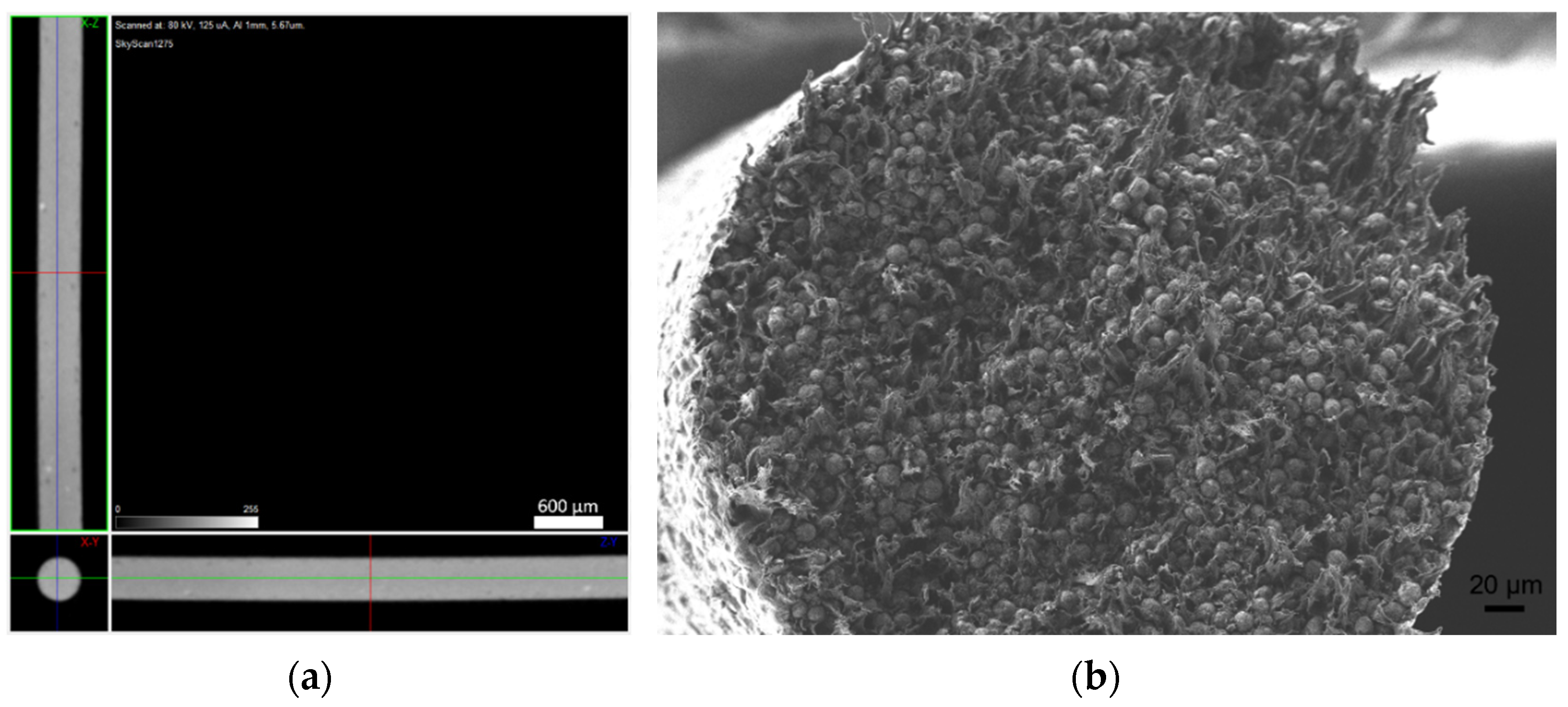 Materials 14 07136 g014