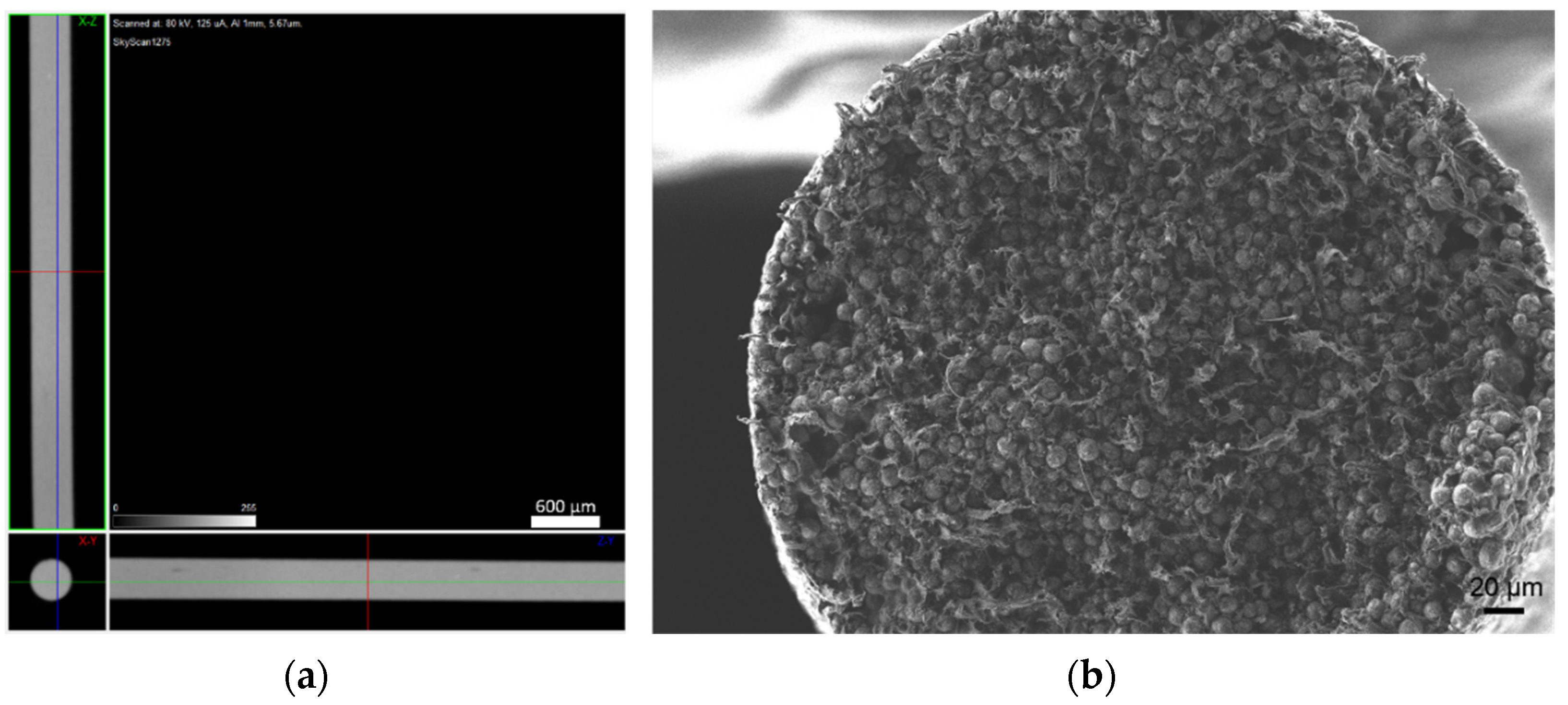 Materials 14 07136 g015