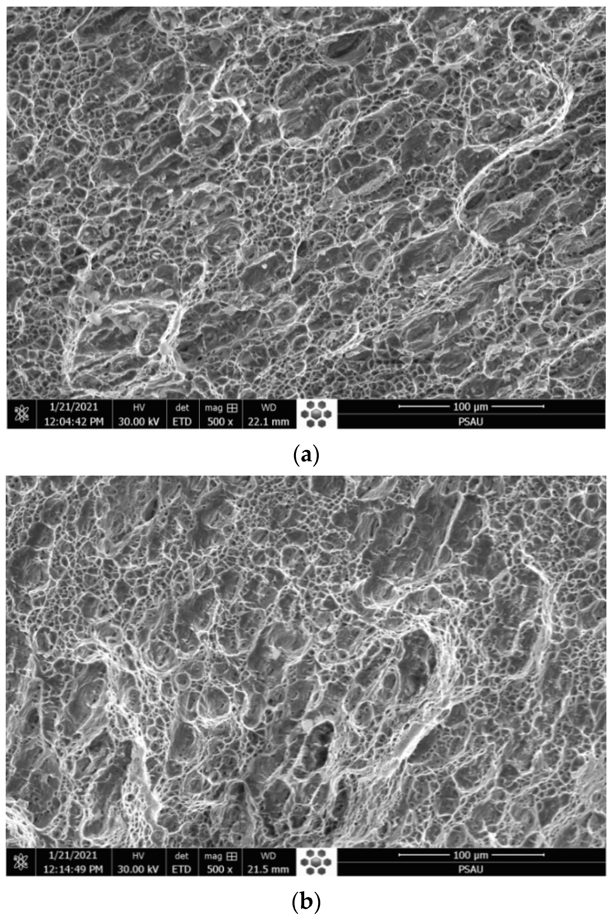 Materials 14 07139 g006