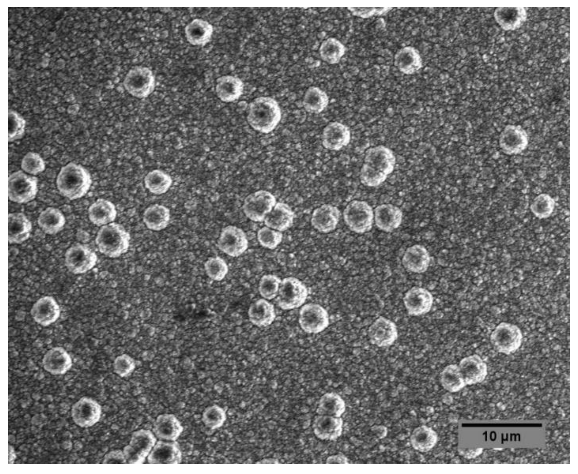 Materials 14 07167 g005