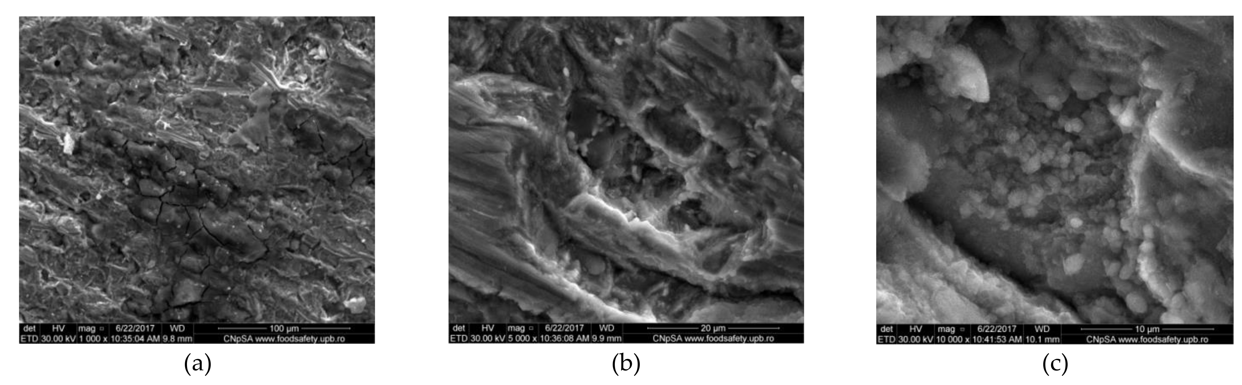 Materials 14 07259 g002a