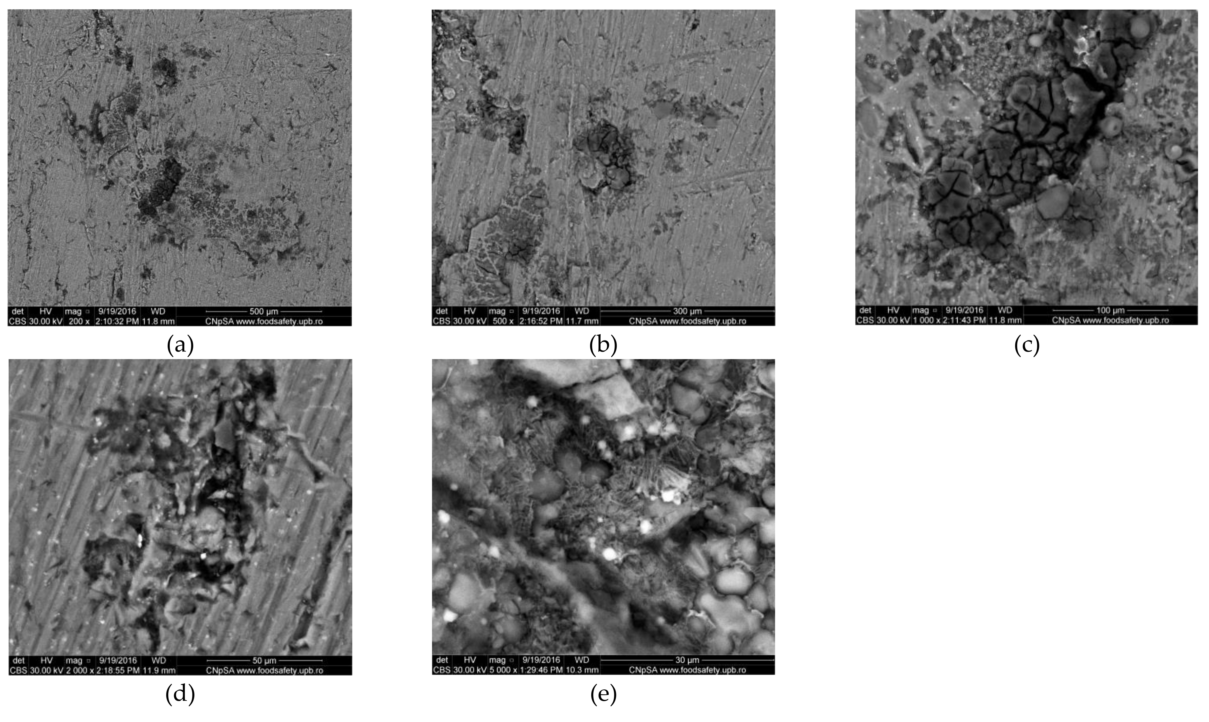 Materials 14 07259 g003