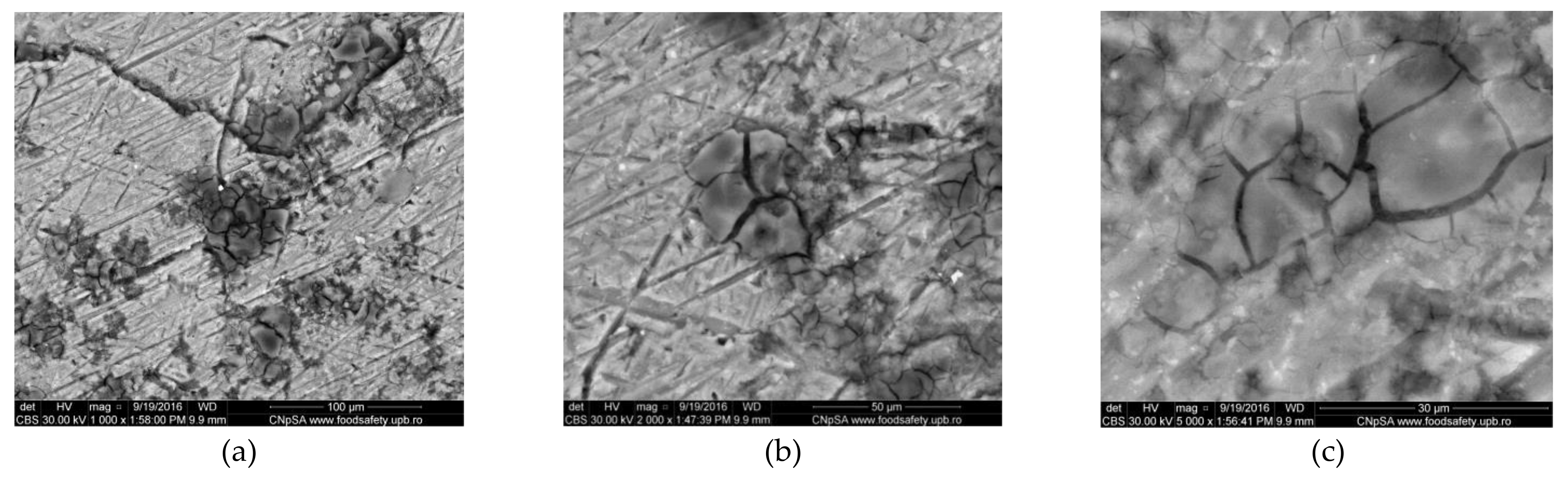 Materials 14 07259 g004