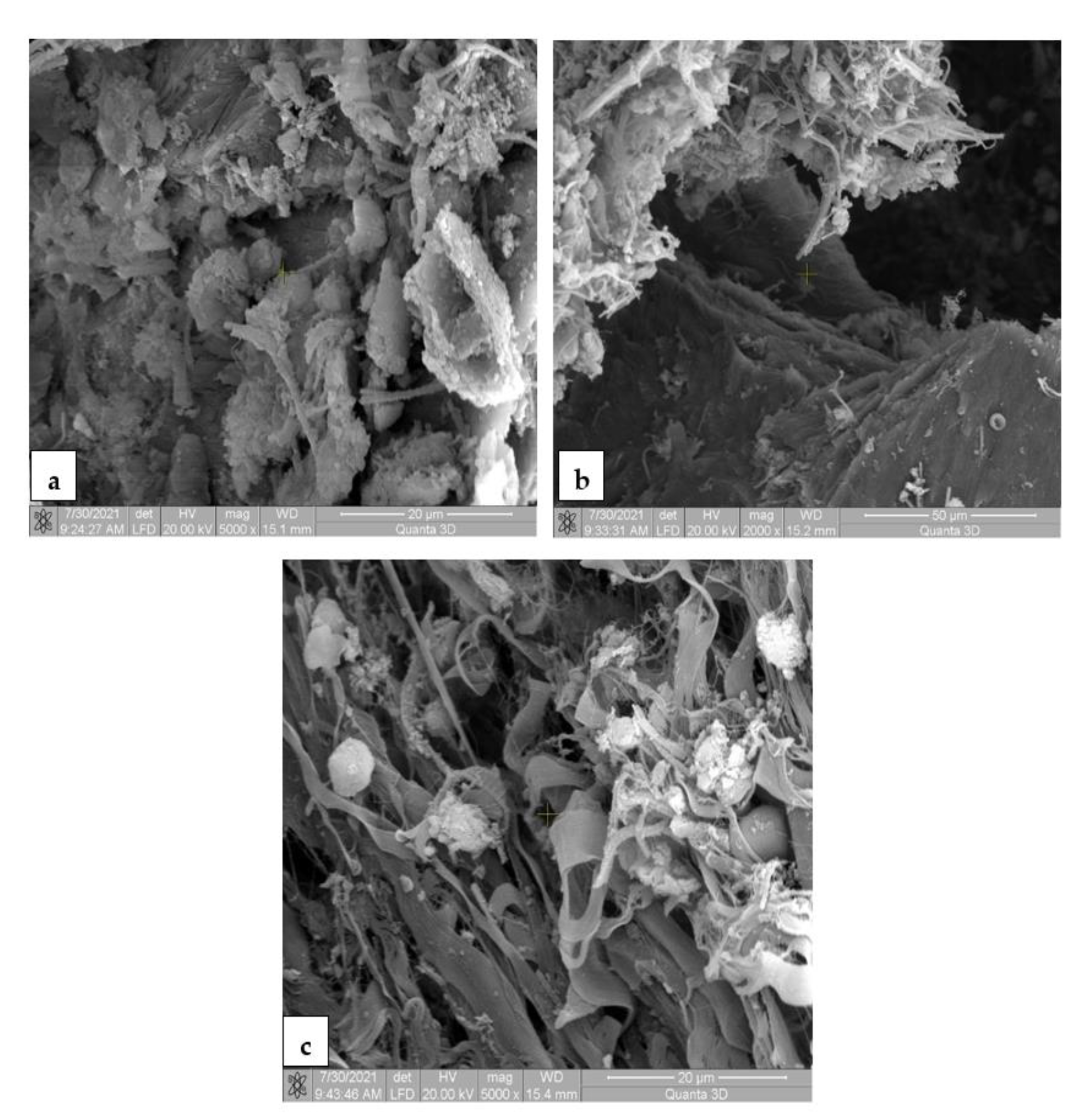 Materials 14 07262 g010