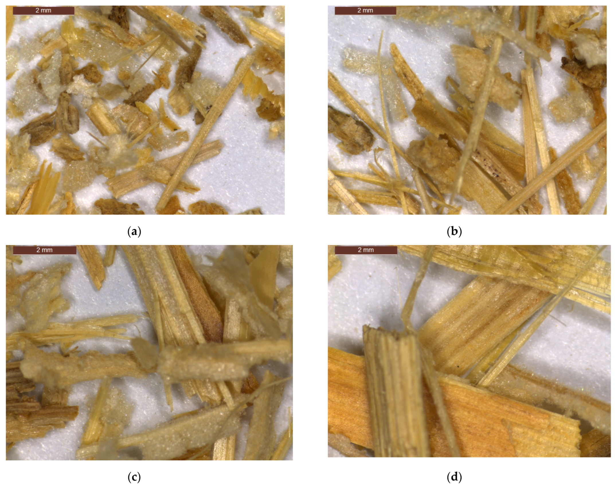 Materials 14 07281 g007