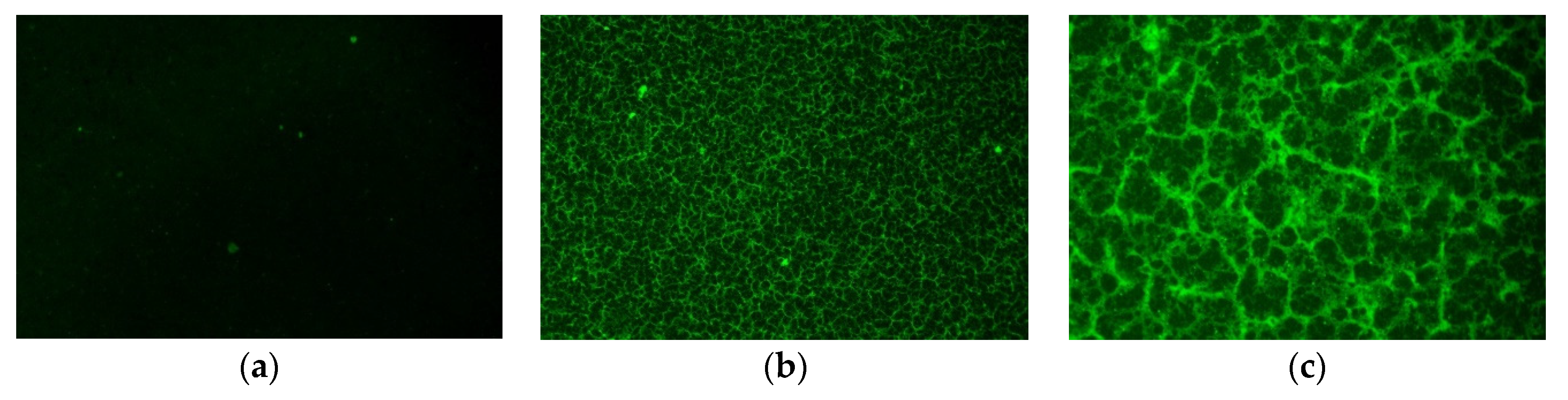 Materials 14 07363 g016