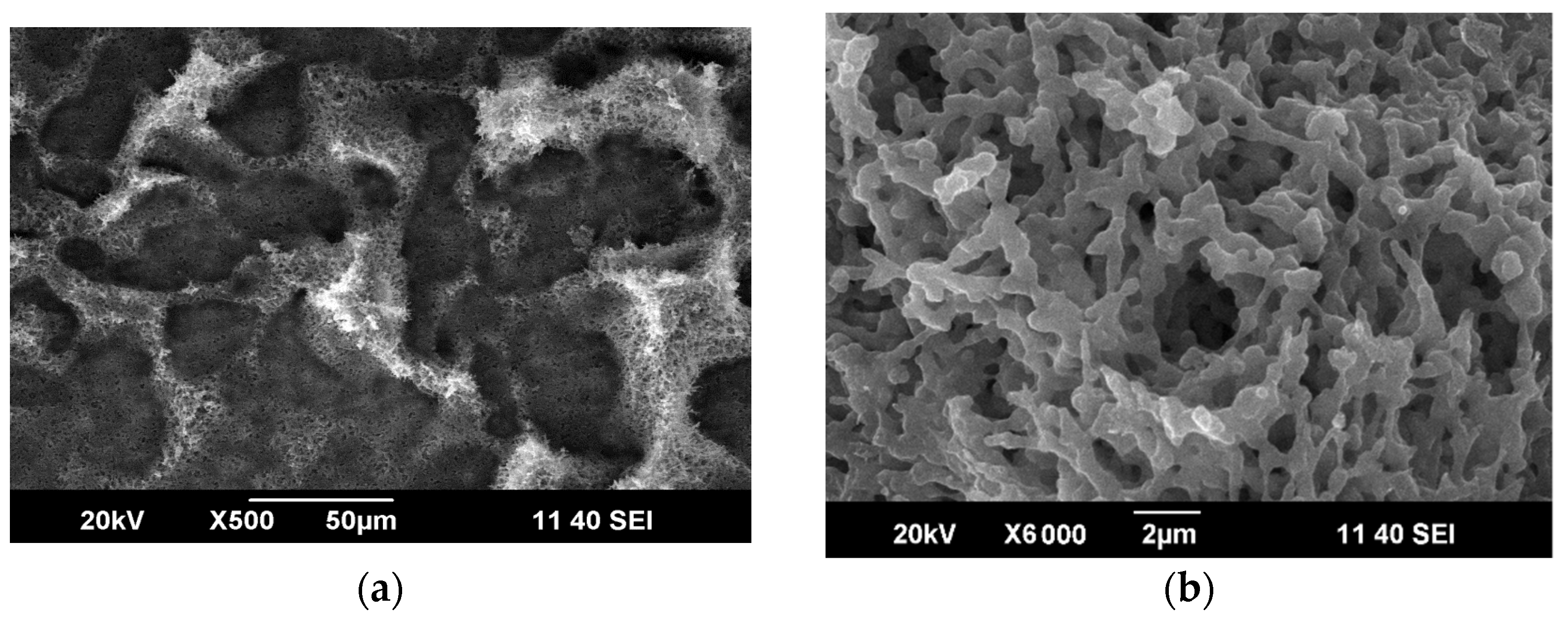 Materials 14 07428 g005