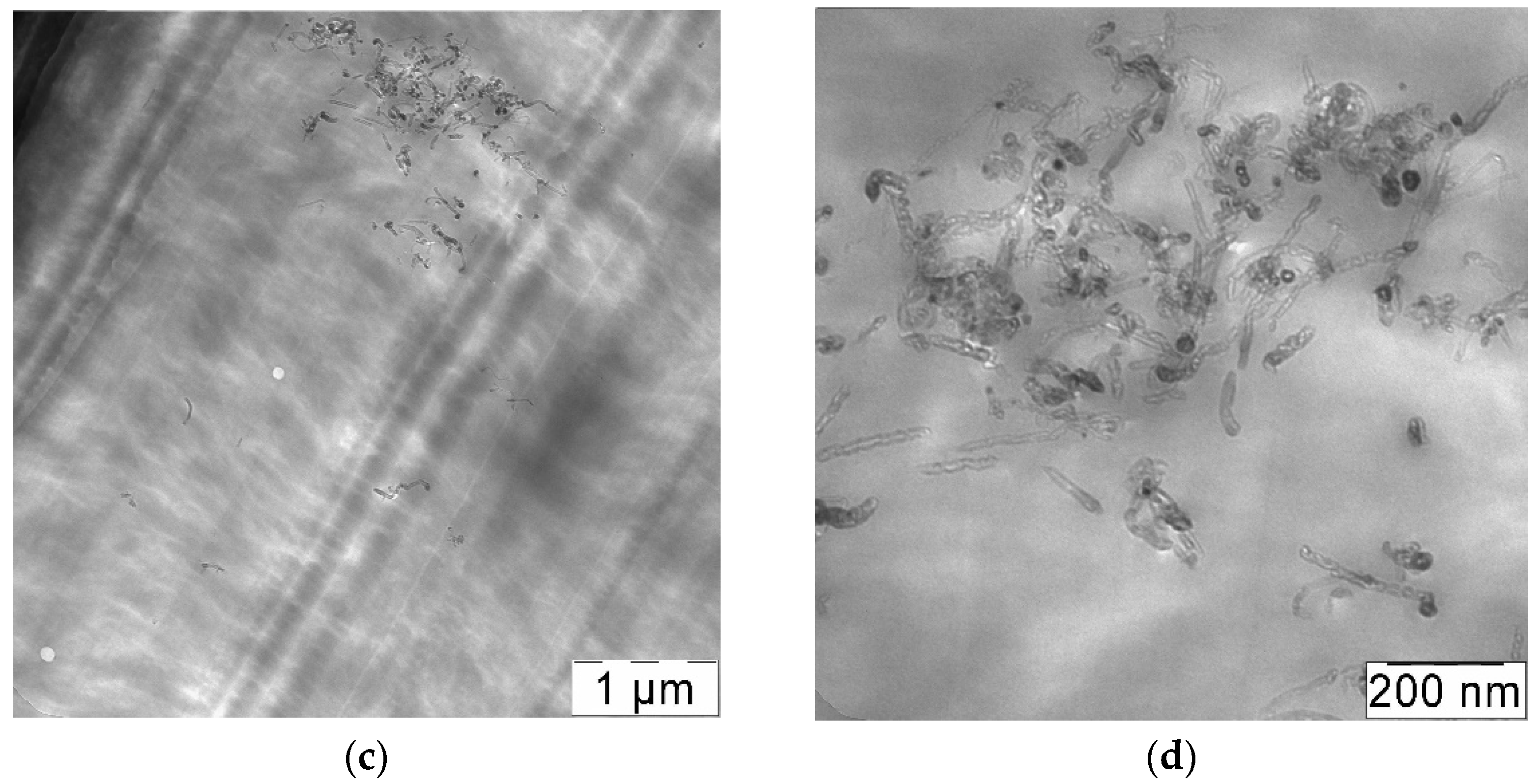 Materials 14 07428 g012b